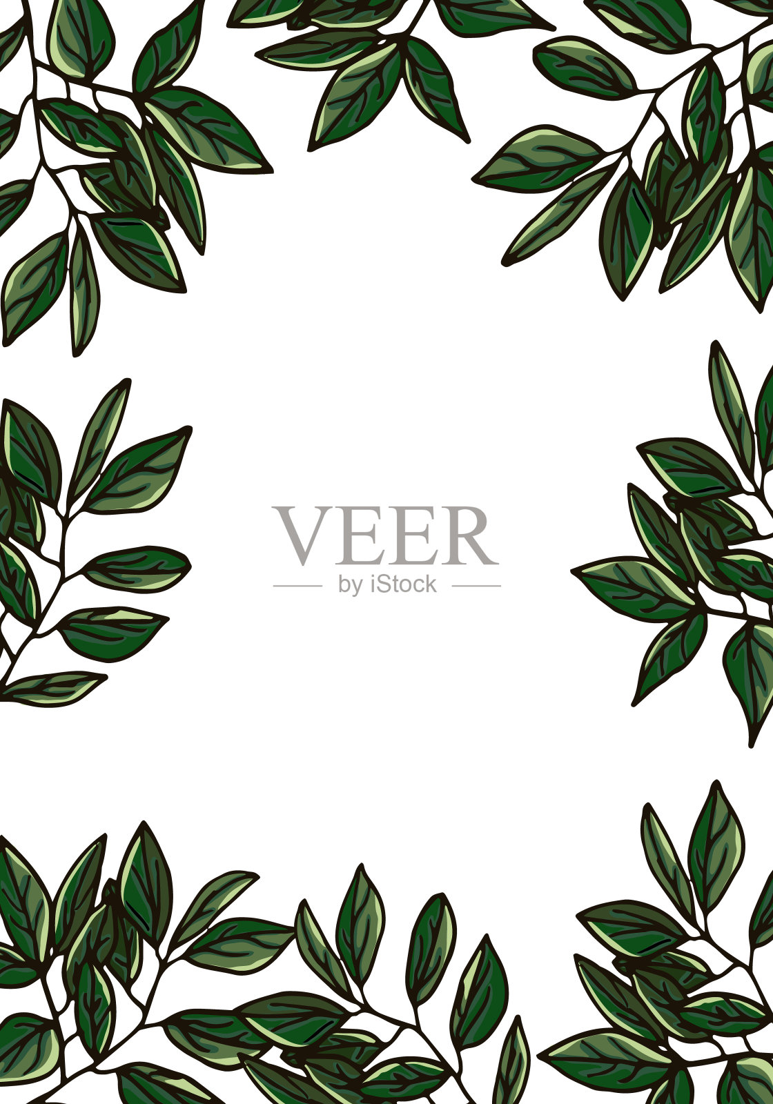 叶框架孤立在白色背景插画图片素材