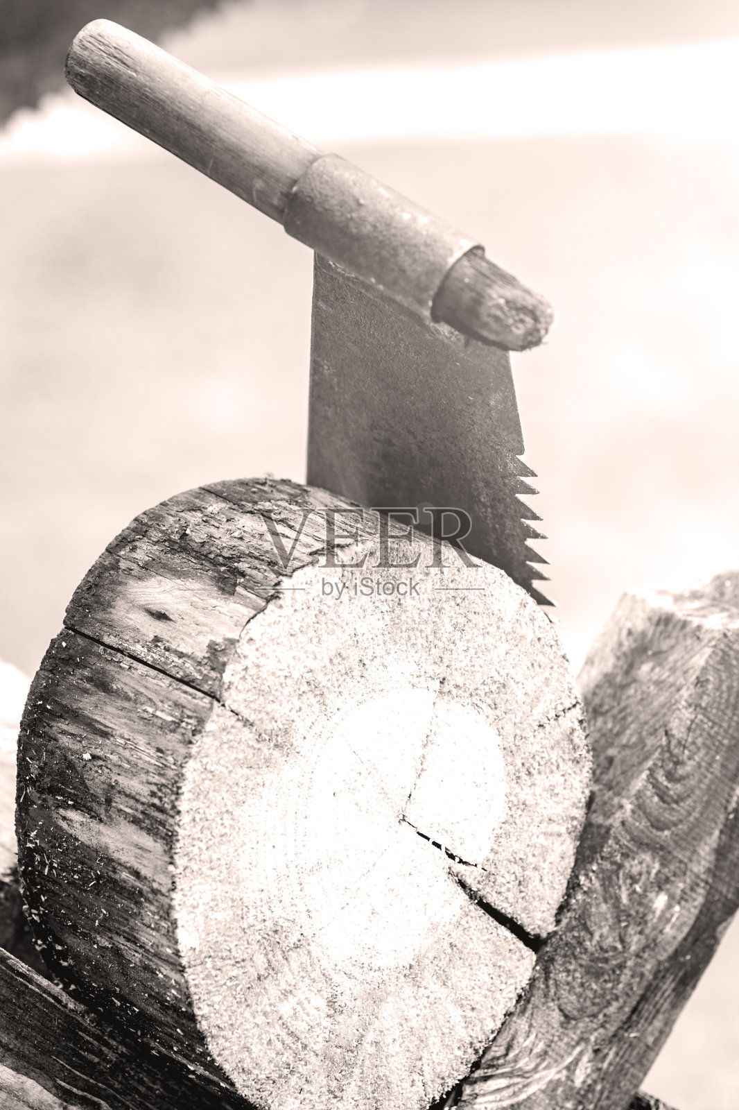 有木柄的生锈的旧锯子照片摄影图片