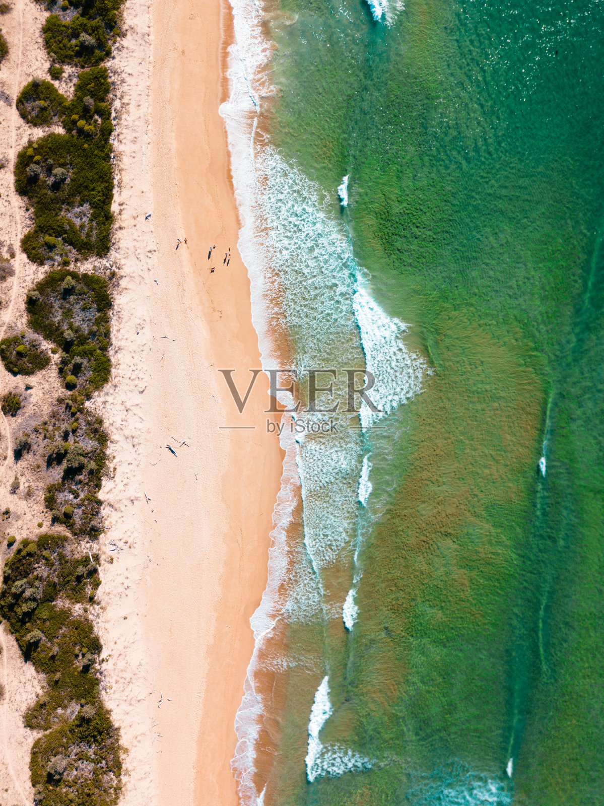 空海滩鸟瞰图在澳大利亚照片摄影图片