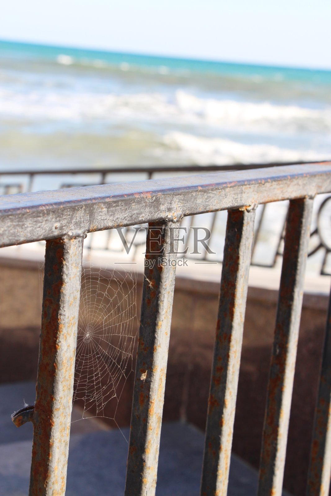 生锈的金属栅栏上挂着蜘蛛网照片摄影图片