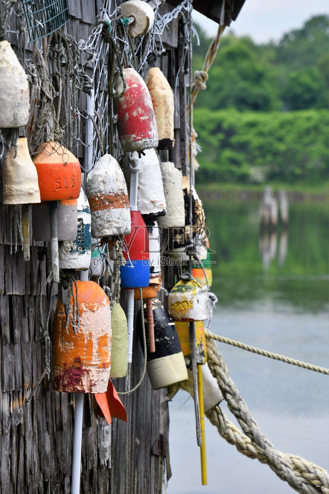 缅因州龙虾浮标照片摄影图片