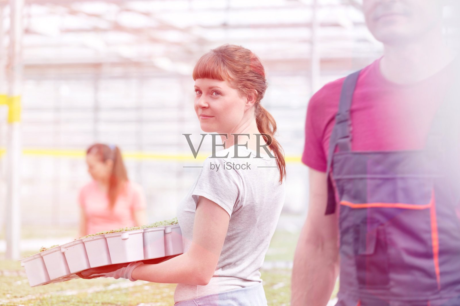 自信年轻的女植物学家在温室里由同事搬运幼苗照片摄影图片