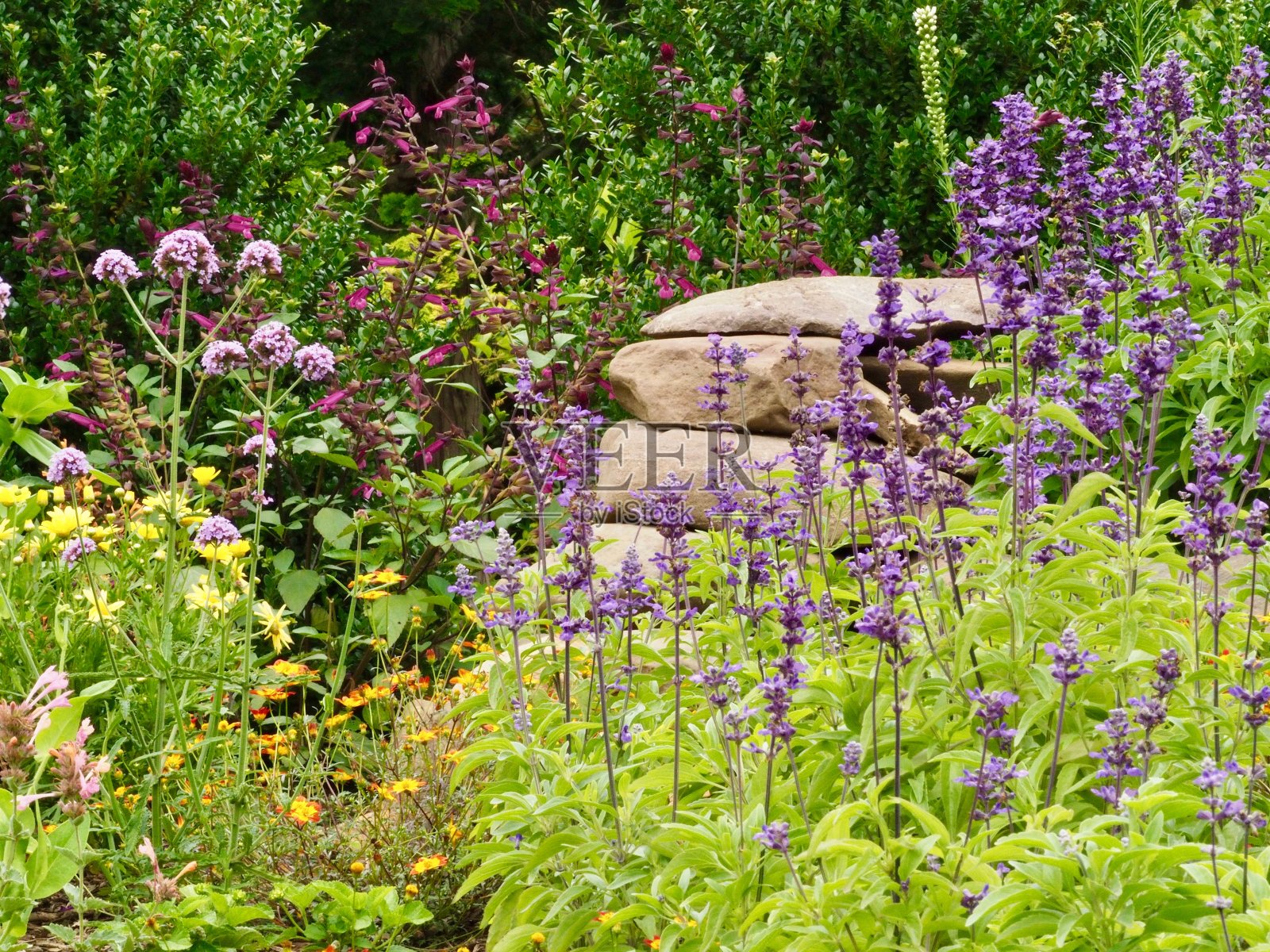 花园照片摄影图片