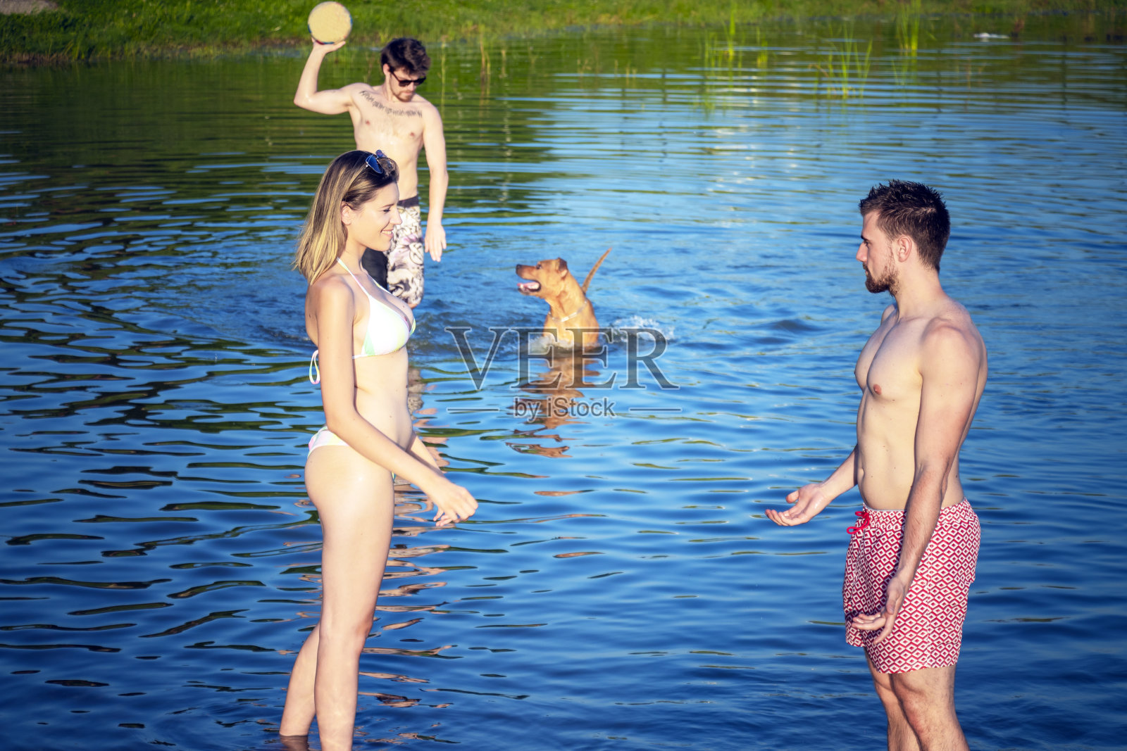 朋友们在河边打排球照片摄影图片