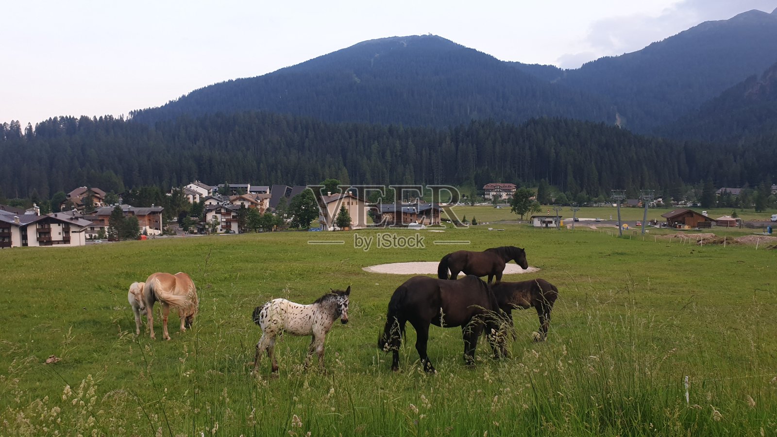 Castrozza Dolomiti的马蒂诺照片摄影图片