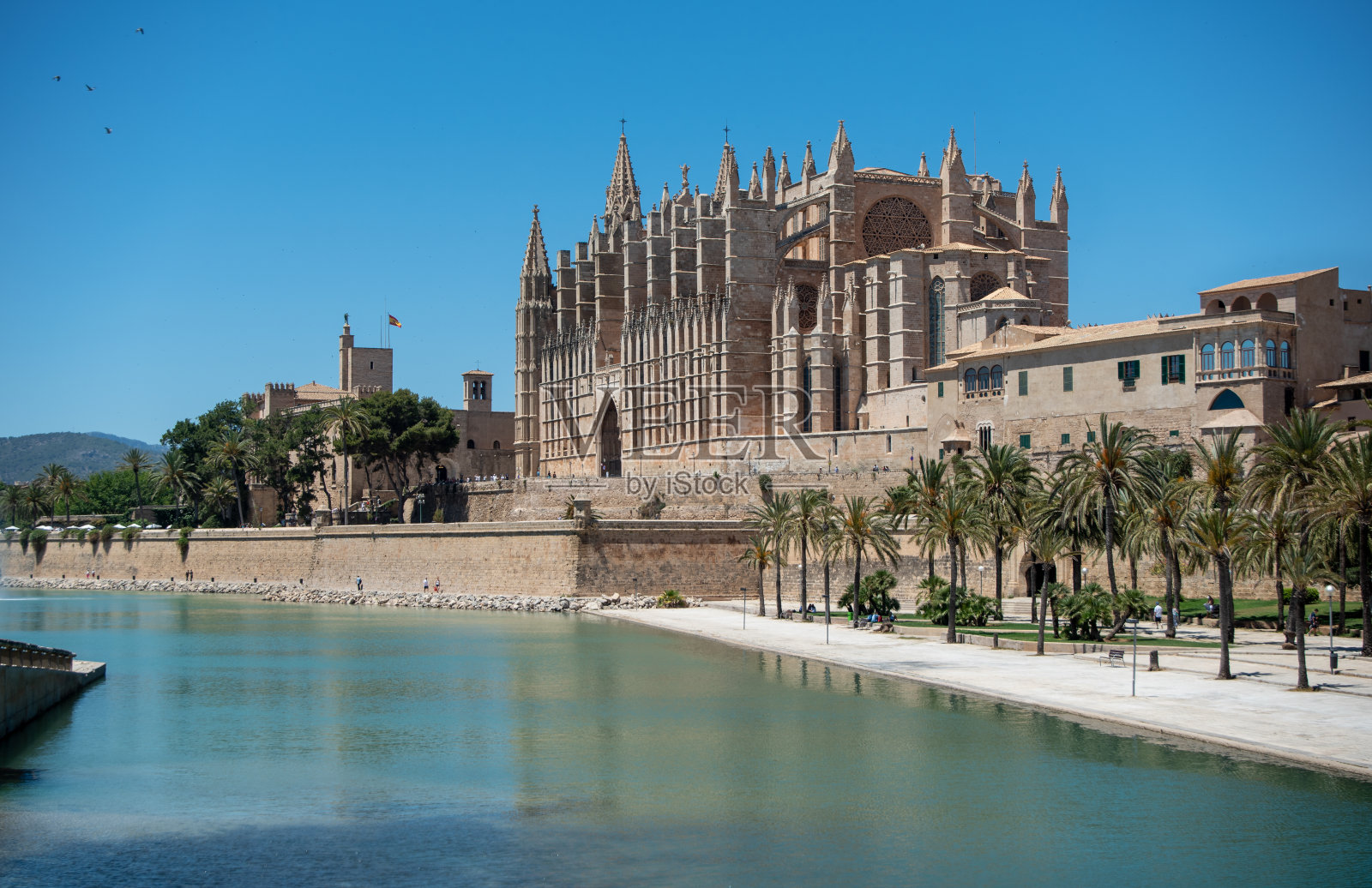 马略卡岛夏季 2019照片摄影图片