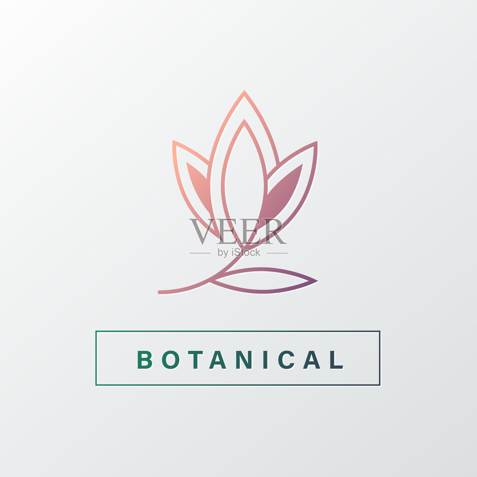 现代设计中的自然有机标志。设计元素图片