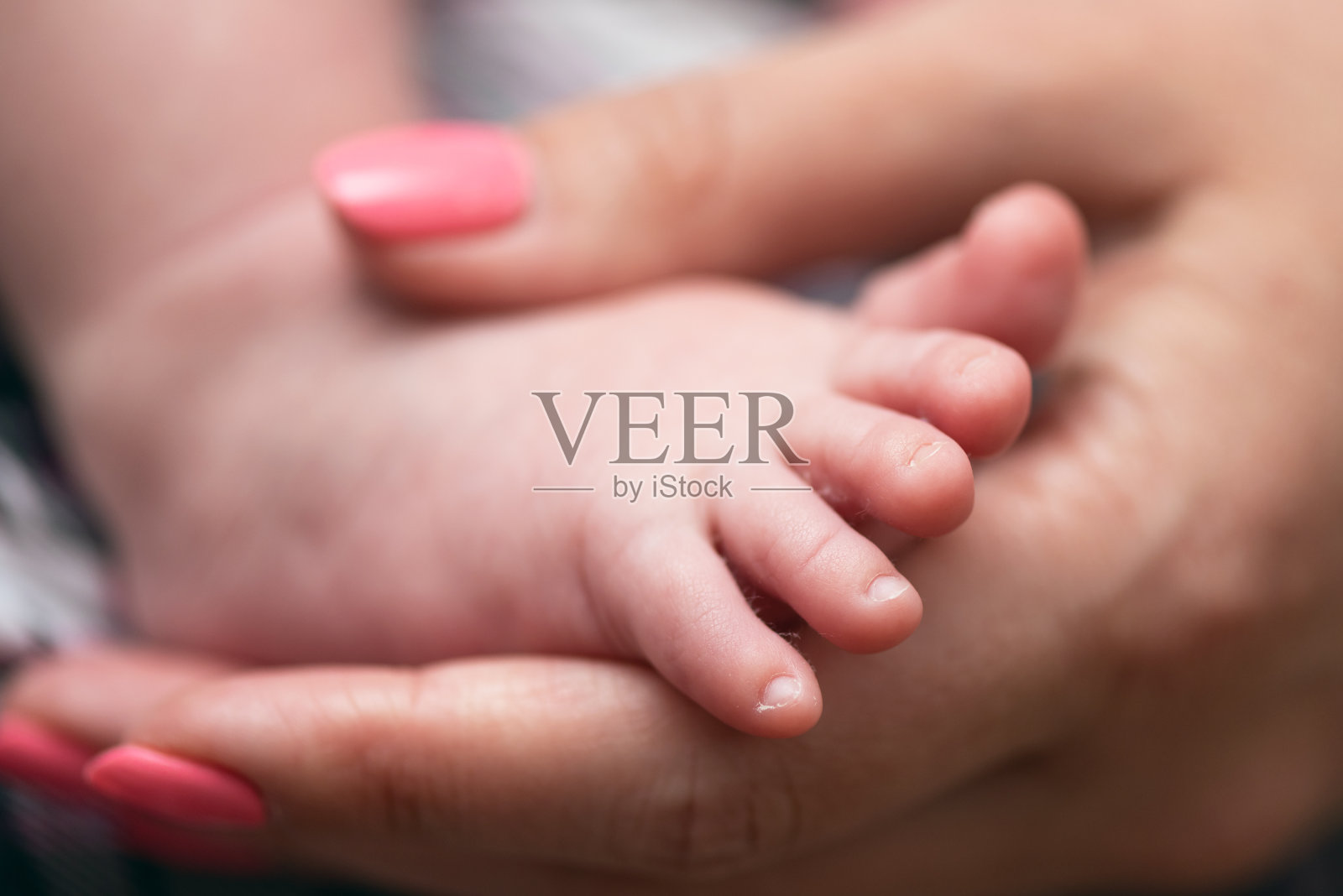 新生儿。照片摄影图片