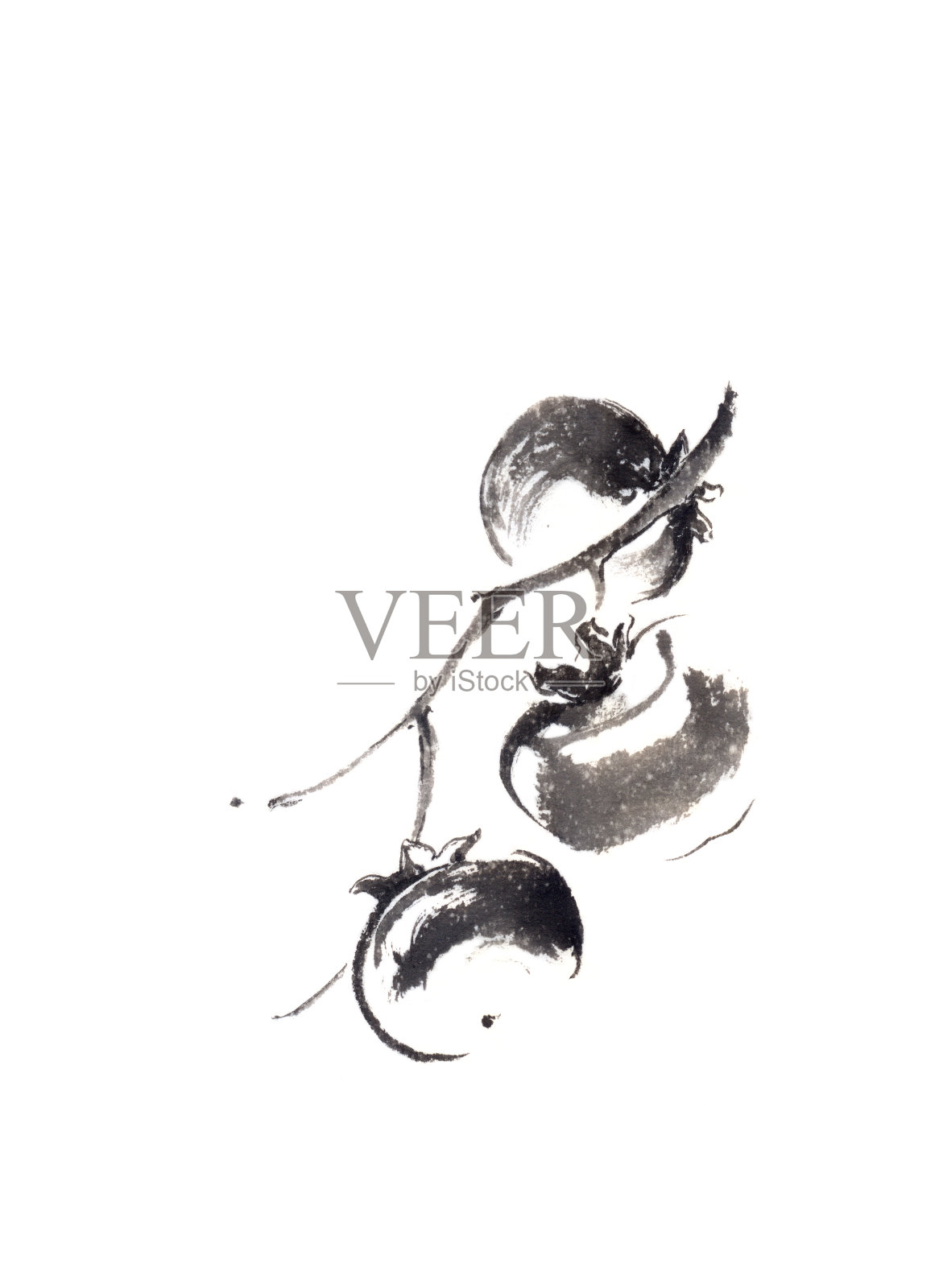 三柿子日式原画sumi-e水墨画。插画图片素材