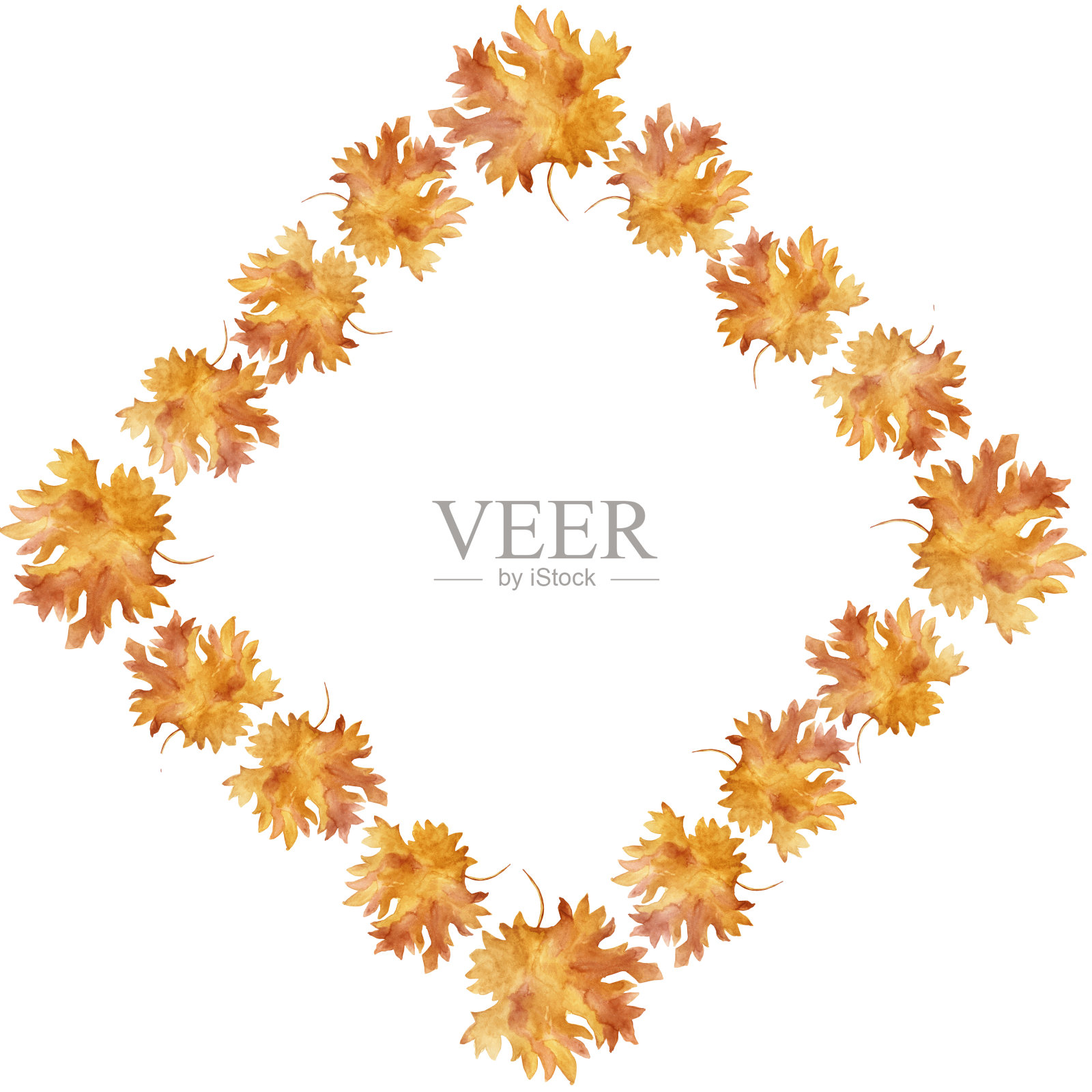 水彩菱形框架七彩秋叶在一轮圆舞孤立在白色的背景上。插画图片素材