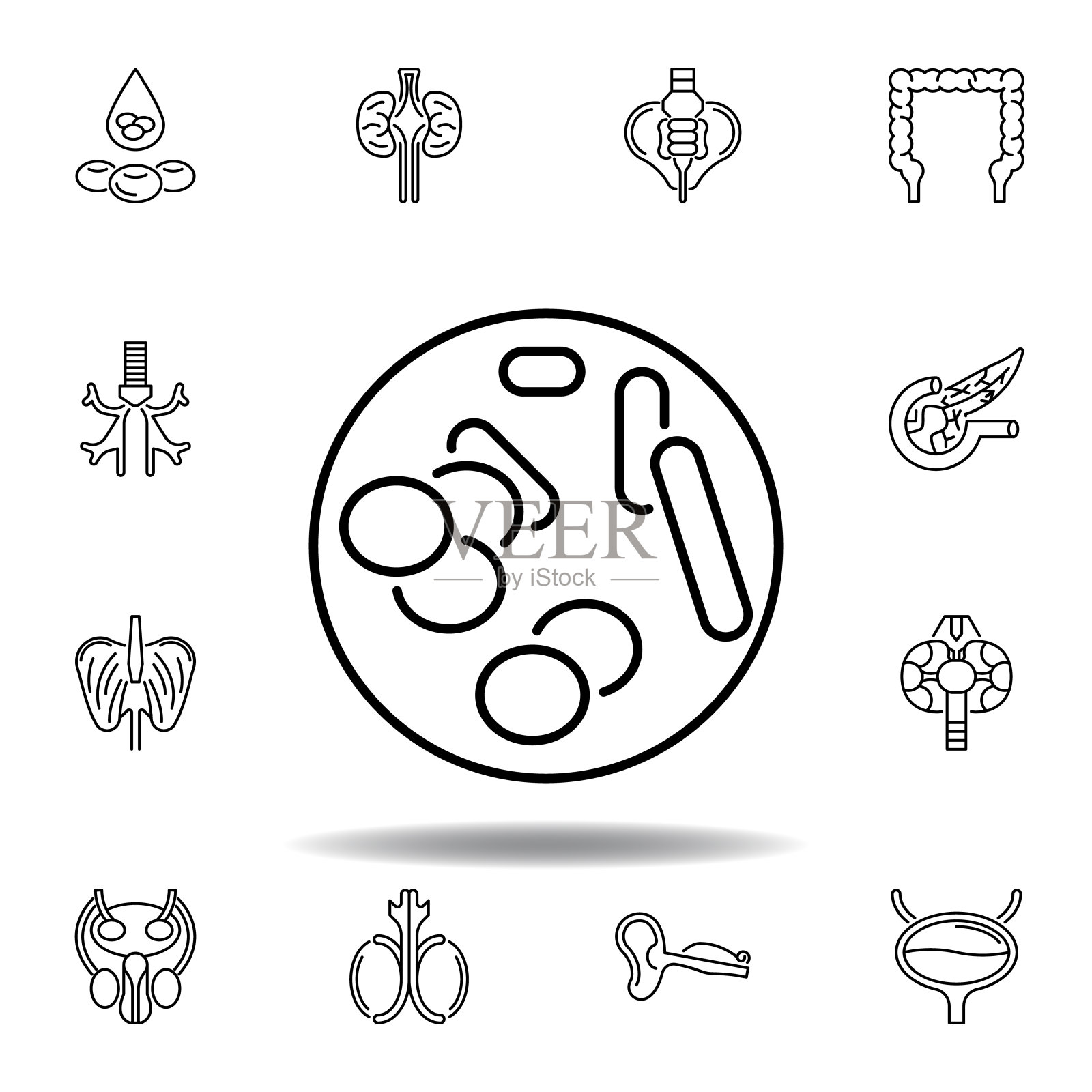 一套人体器官染色体轮廓图标。符号和符号可以用于网页，标志，手机应用程序，UI，用户体验图标素材