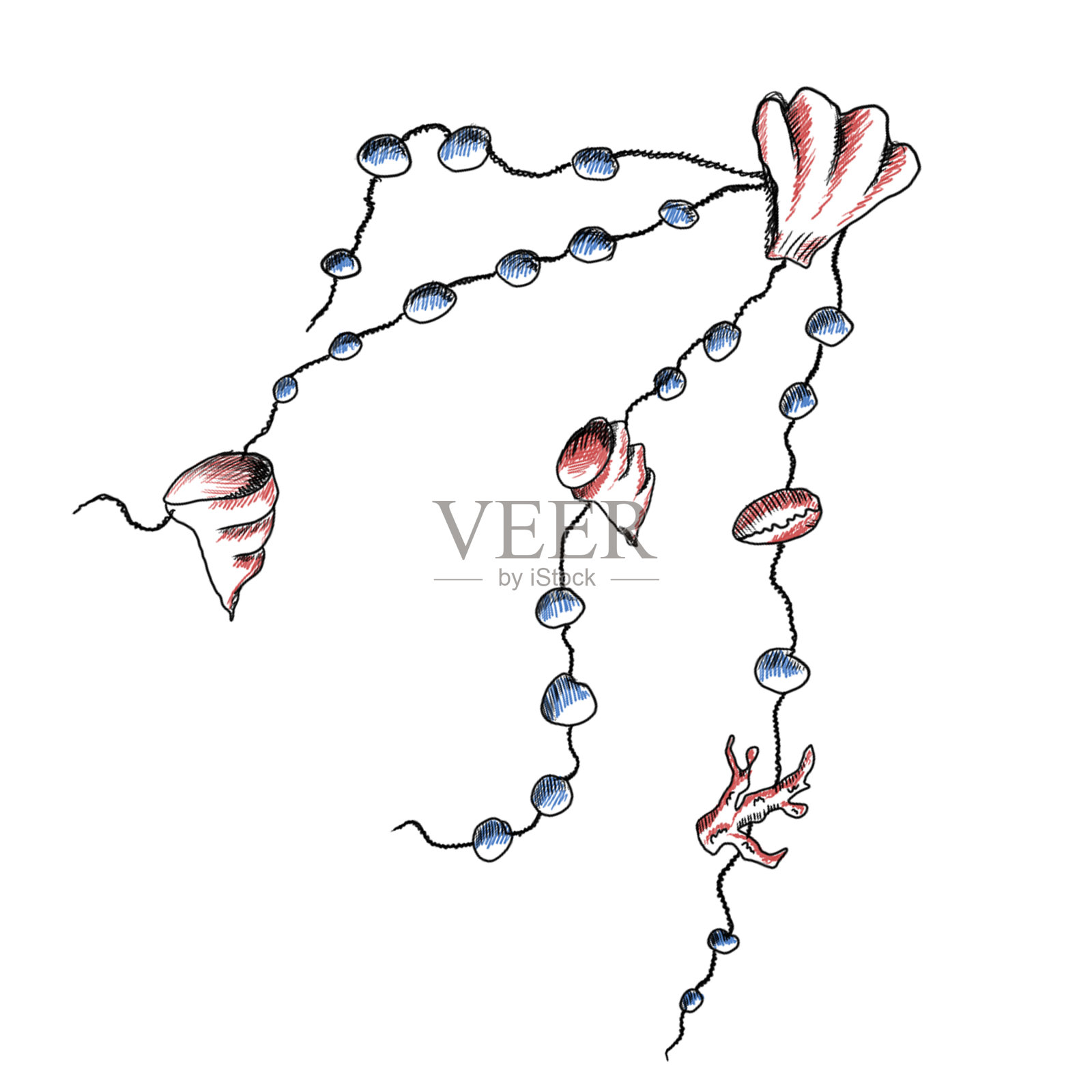 夏天海上涂鸦可爱的贝壳珠子在白色的背景插画图片素材