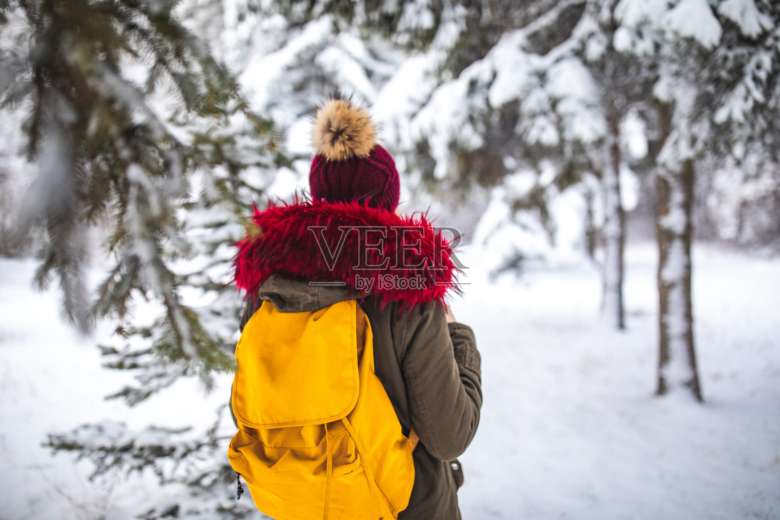 探索的雪山照片摄影图片