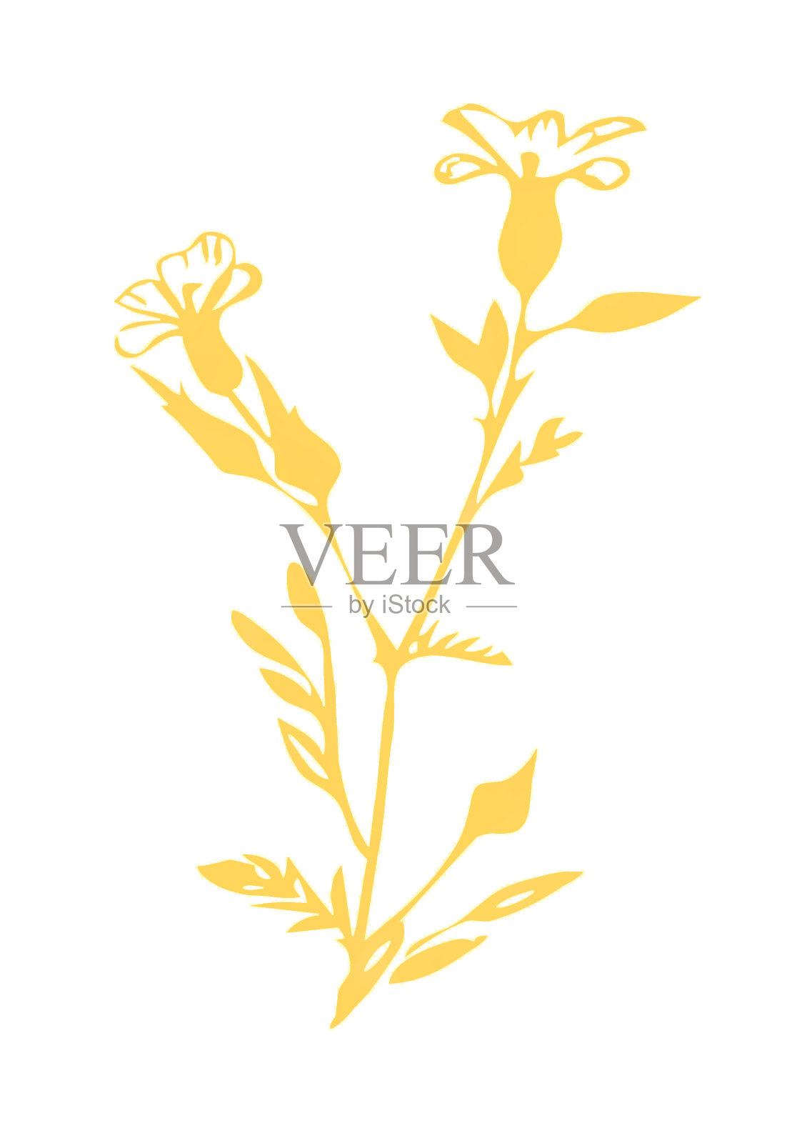 田间花卉抽象植物。插画图片素材