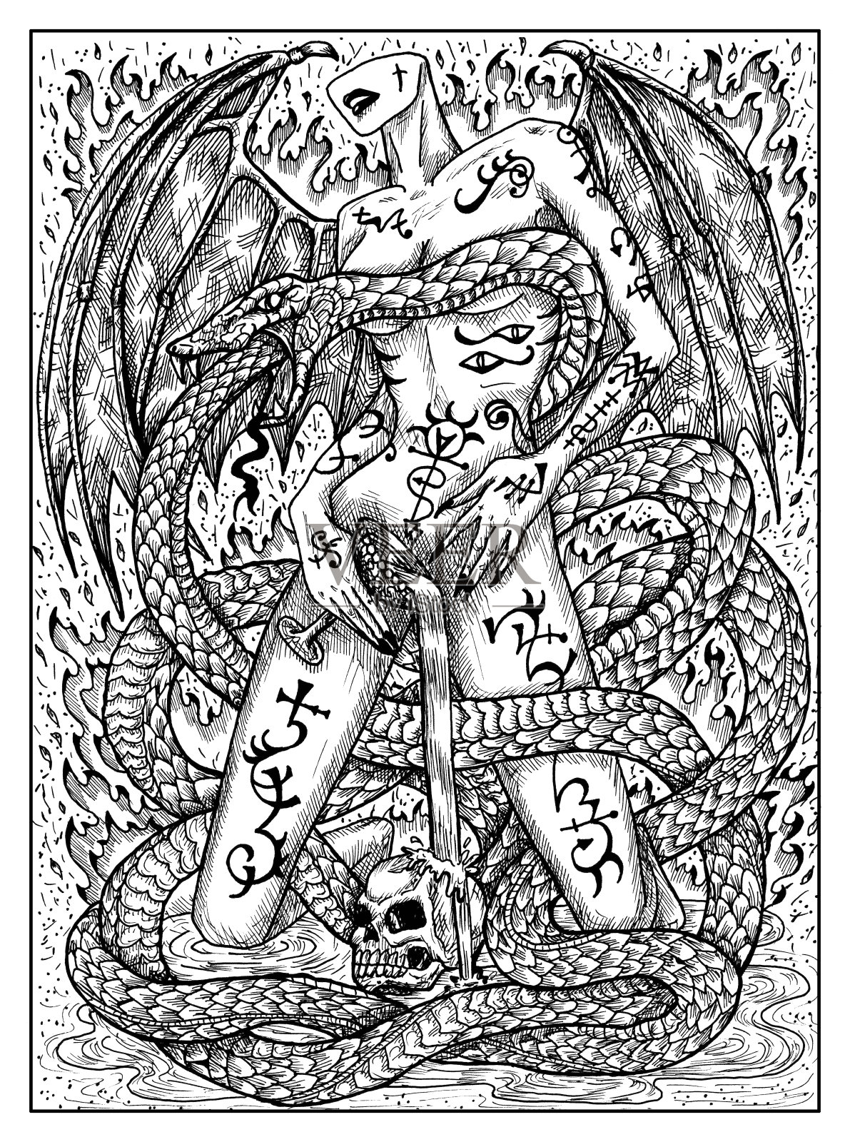 蛇。黑白神秘概念为莱诺芒神谕塔罗牌插画图片素材