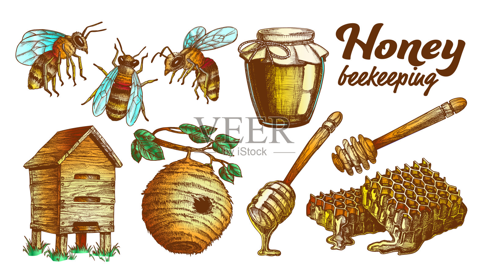 颜色蜂蜜养蜂蜂房集向量插画图片素材