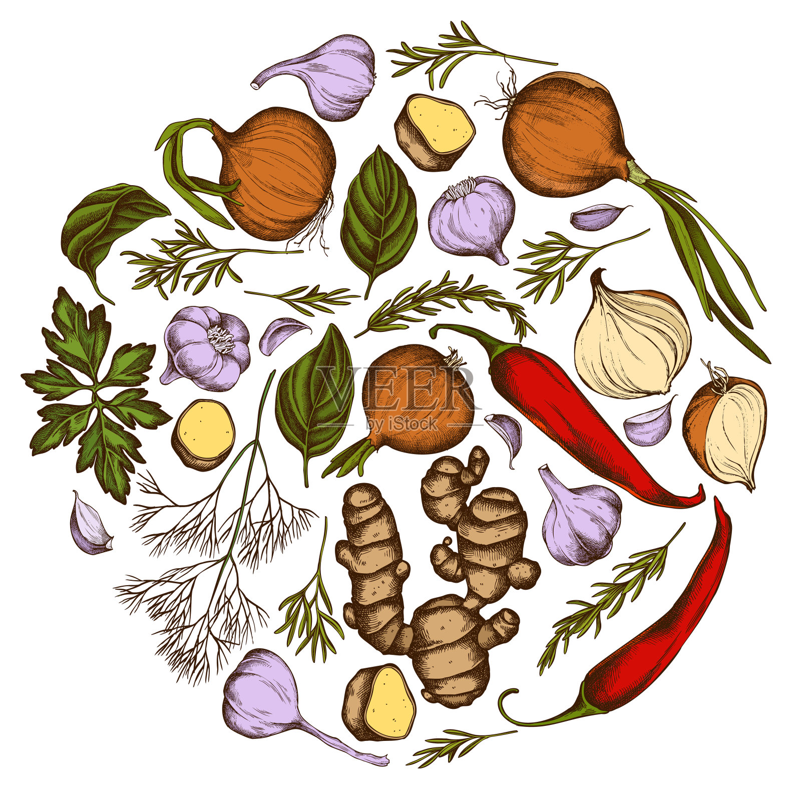 圆形花卉图案，用彩色的洋葱，大蒜，胡椒，绿叶，姜，罗勒，迷迭香设计元素图片