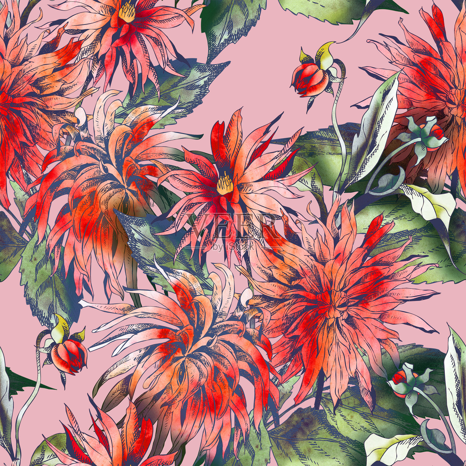 大丽花无缝模式。插画图片素材