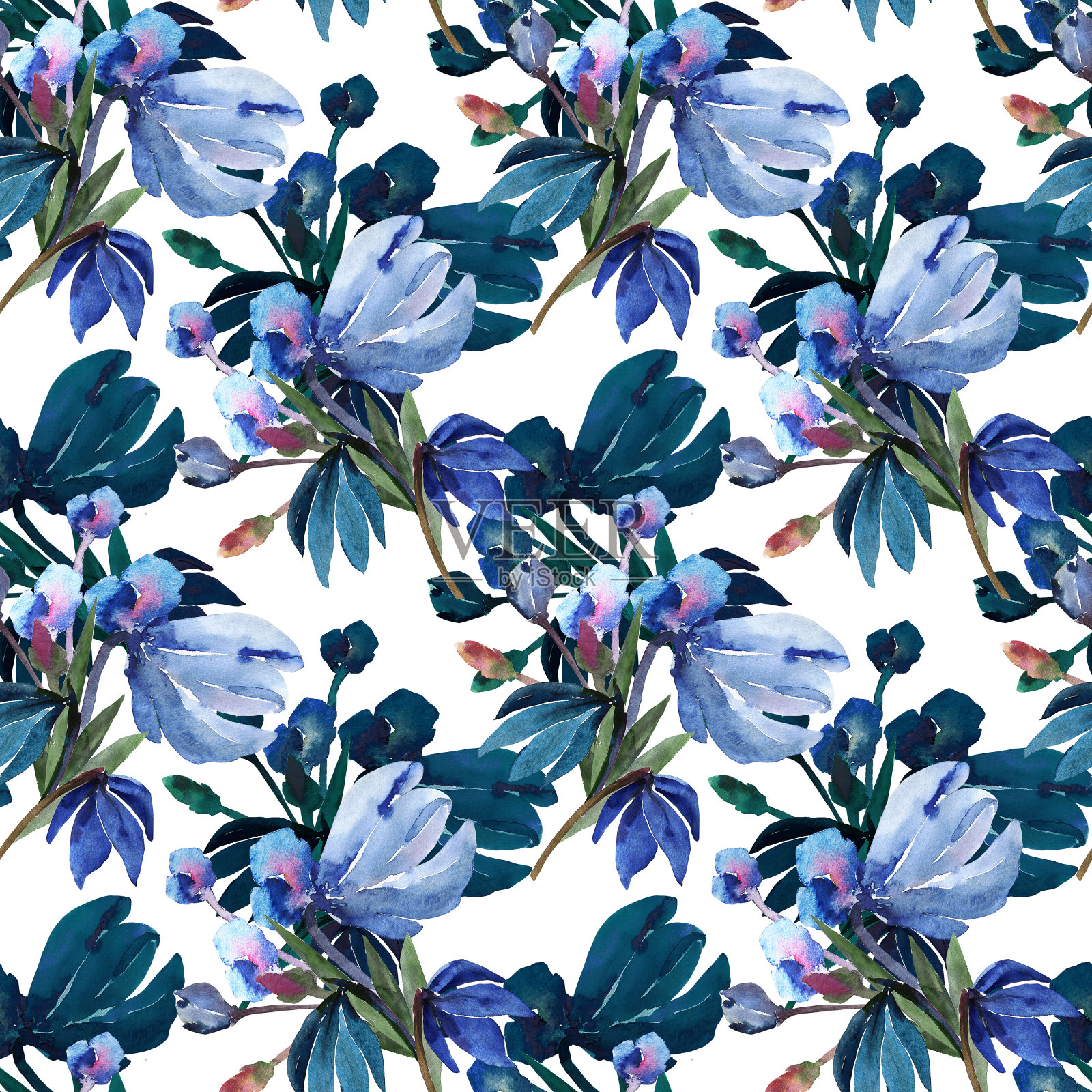 蓝色的雪花莲插画图片素材