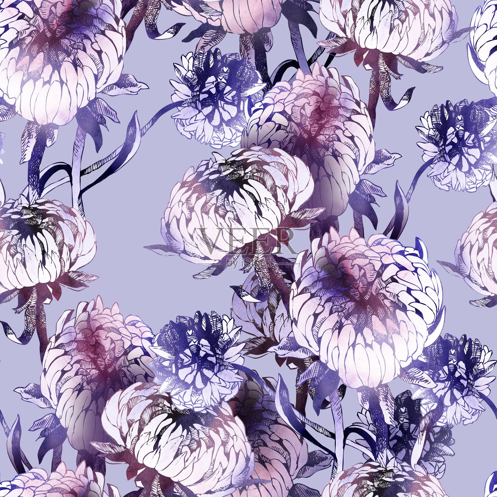 紫菀花无缝图案。插画图片素材