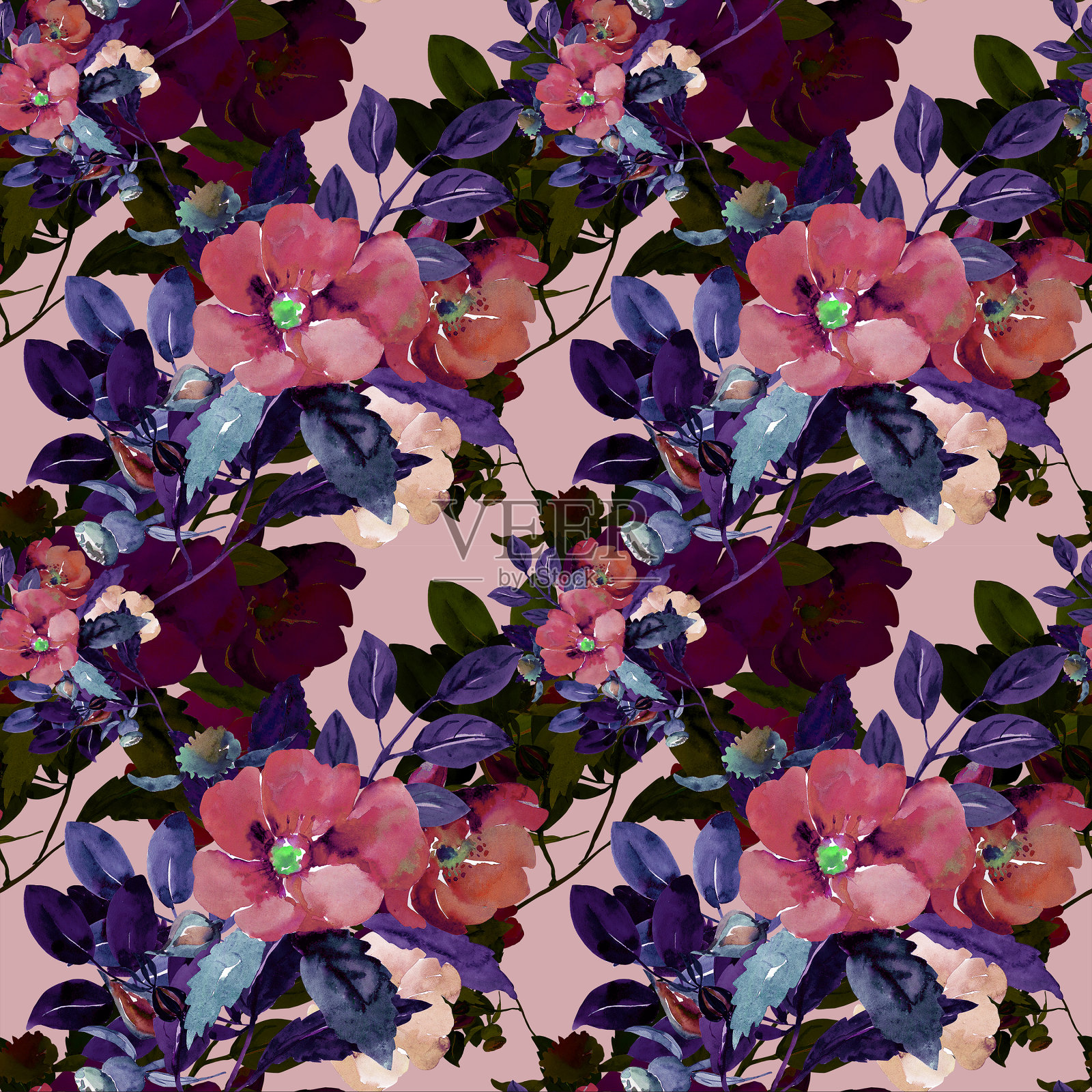 玫瑰果花插画图片素材