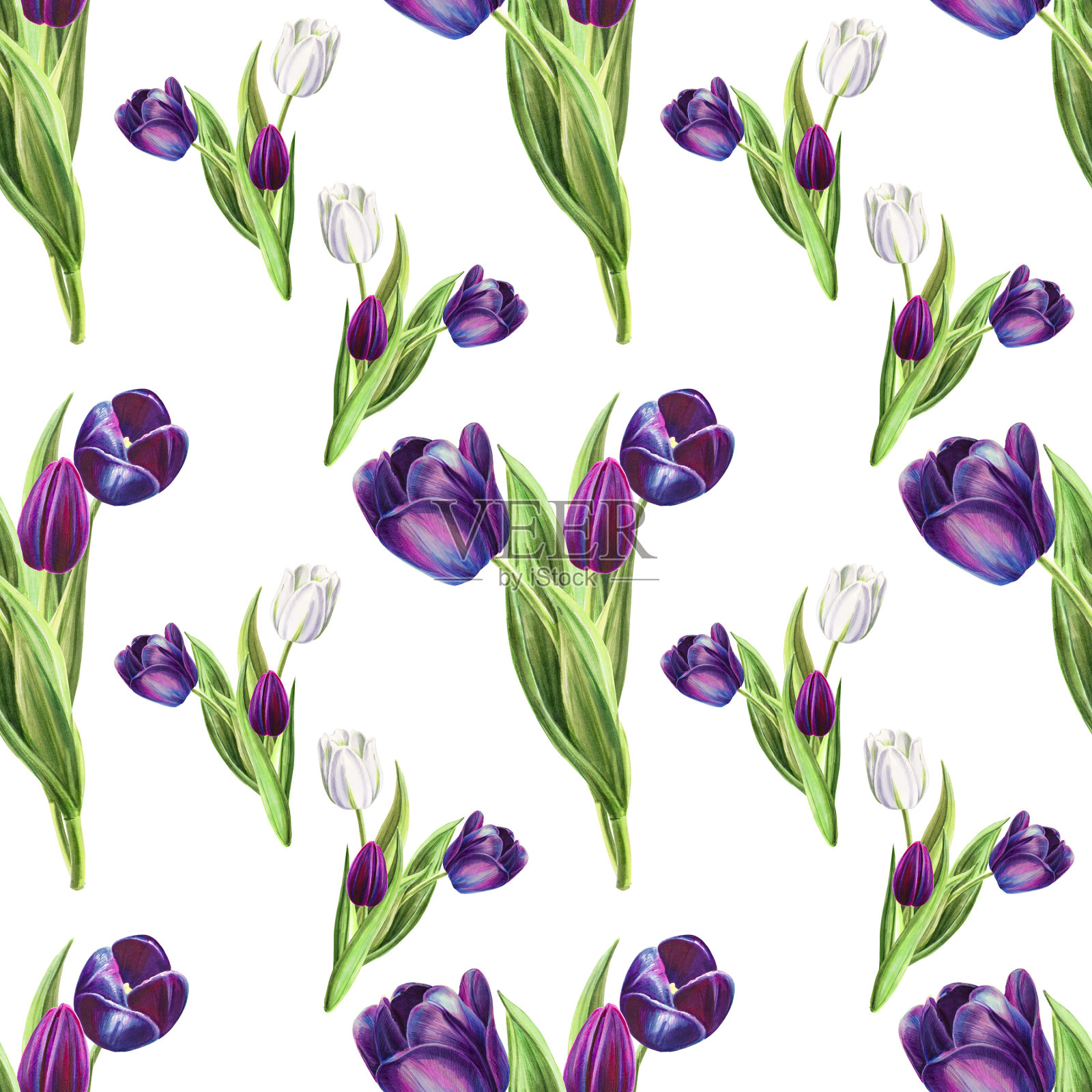 美丽的黑白郁金香无缝图案。花收集。标记图。水彩画。墙纸。插画图片素材