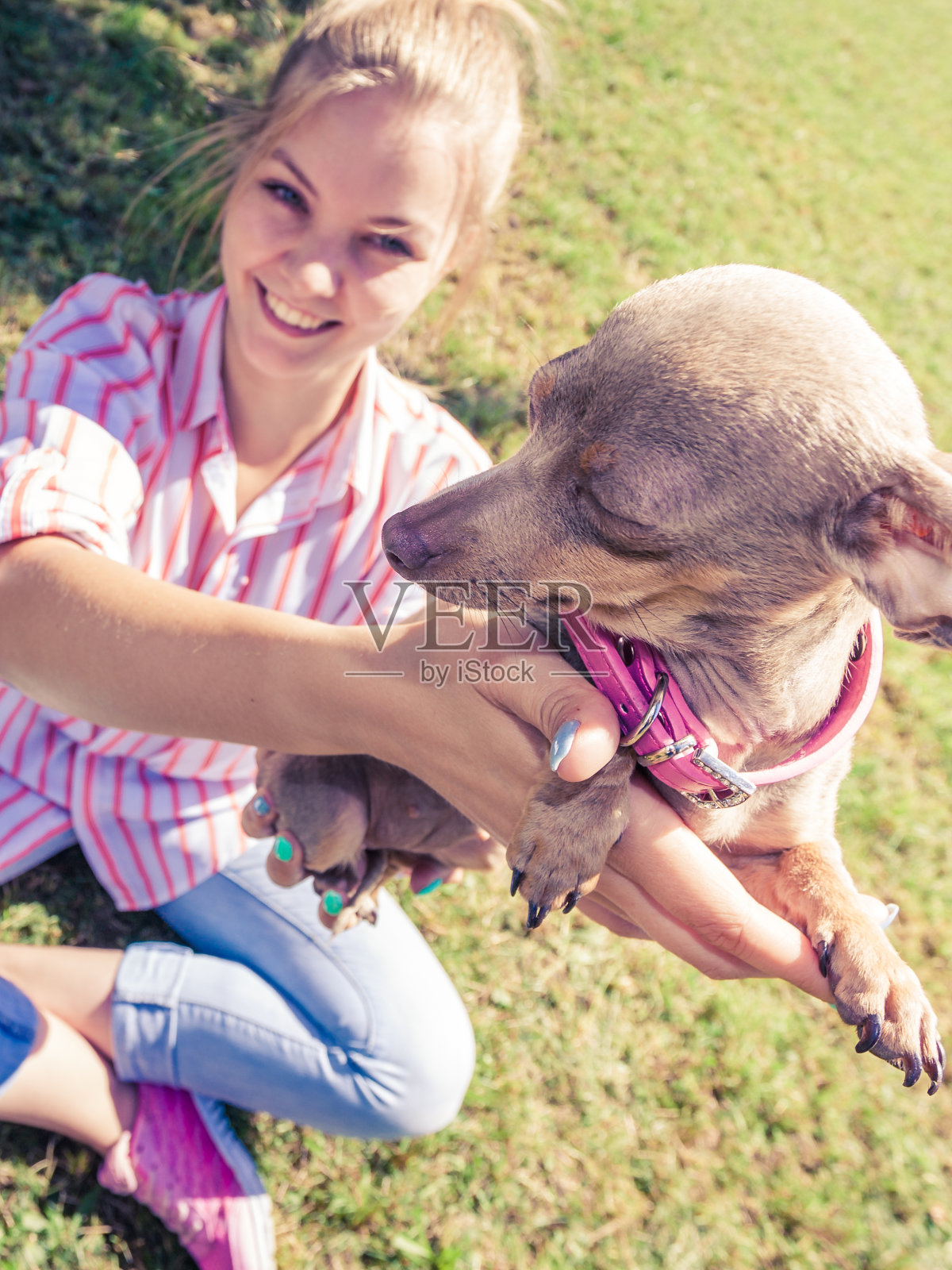 一个女人在外面玩捕鼠狗照片摄影图片