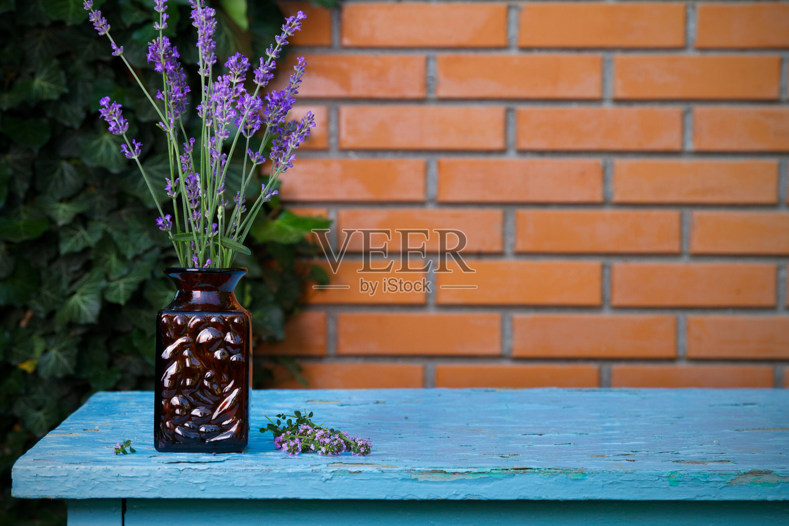 花园砖墙背景的桌上，花瓶上放着薰衣草花。带拷贝空间查看照片摄影图片