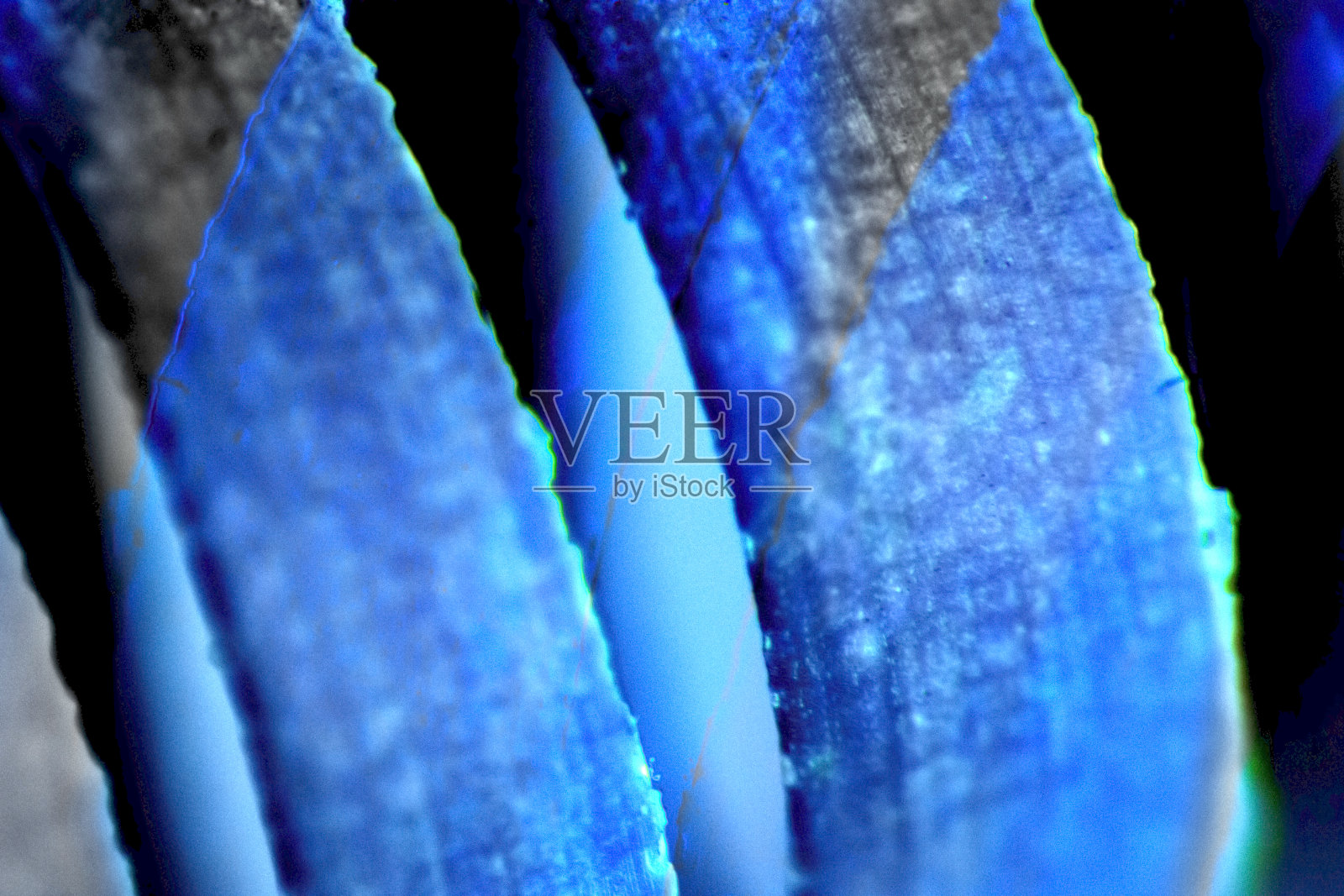 用微距拍摄的自然元素进行艺术色彩背景创作照片摄影图片