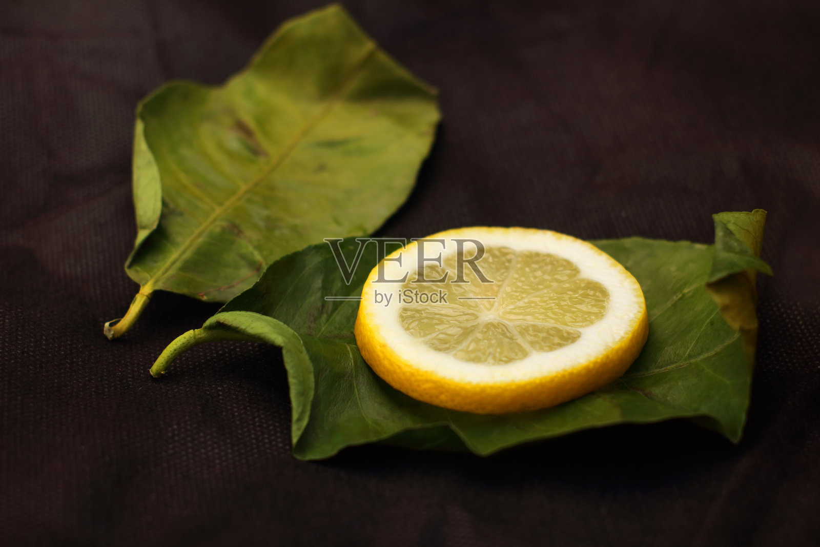 柠檬叶片照片摄影图片