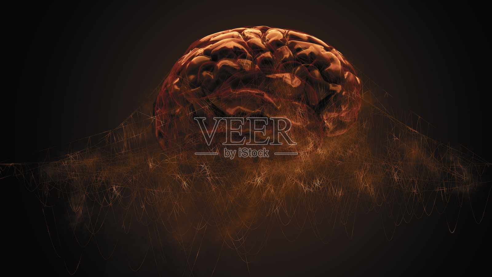 被蜘蛛网包裹的大脑照片摄影图片
