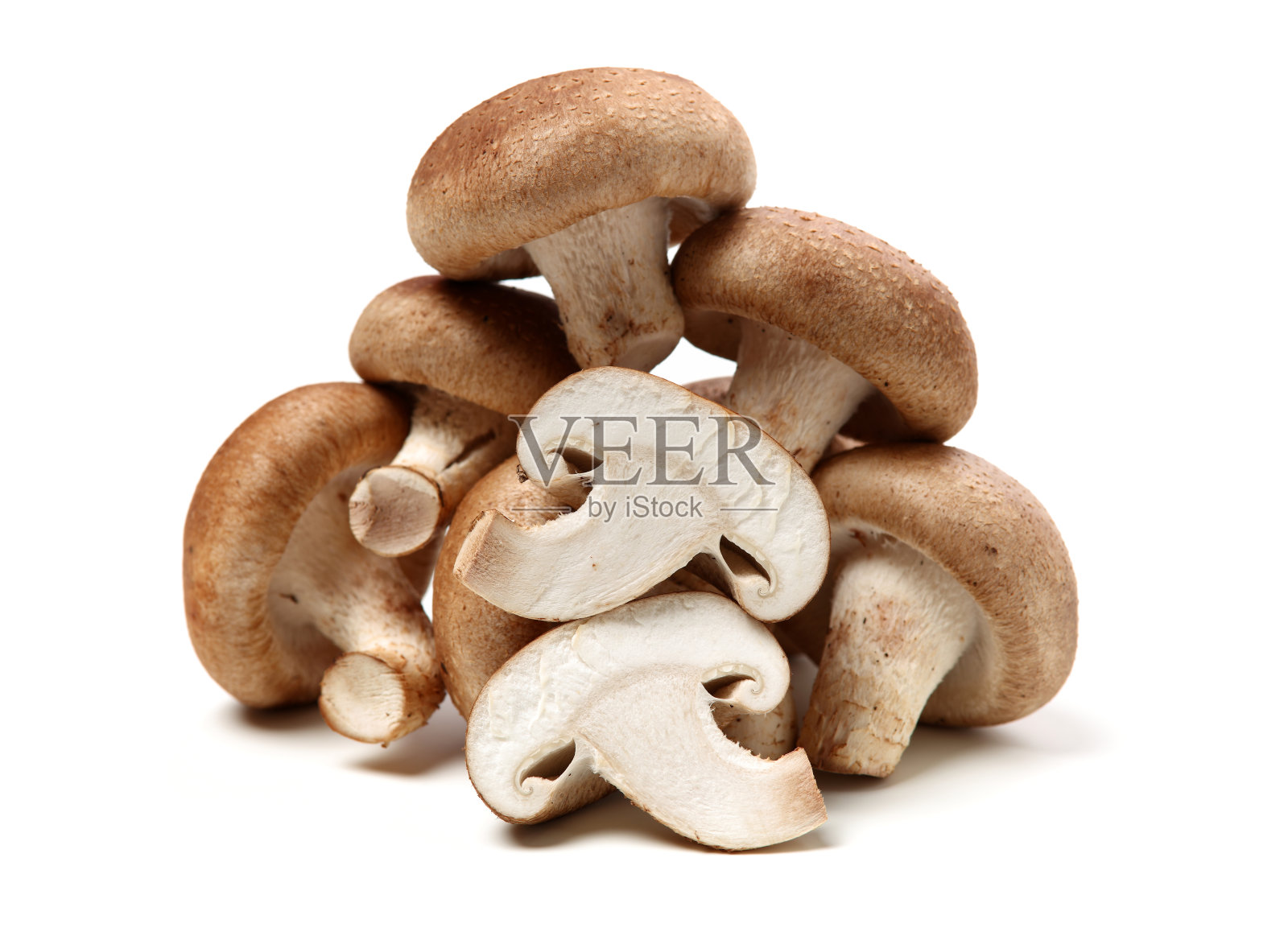 白色背景上的香菇照片摄影图片