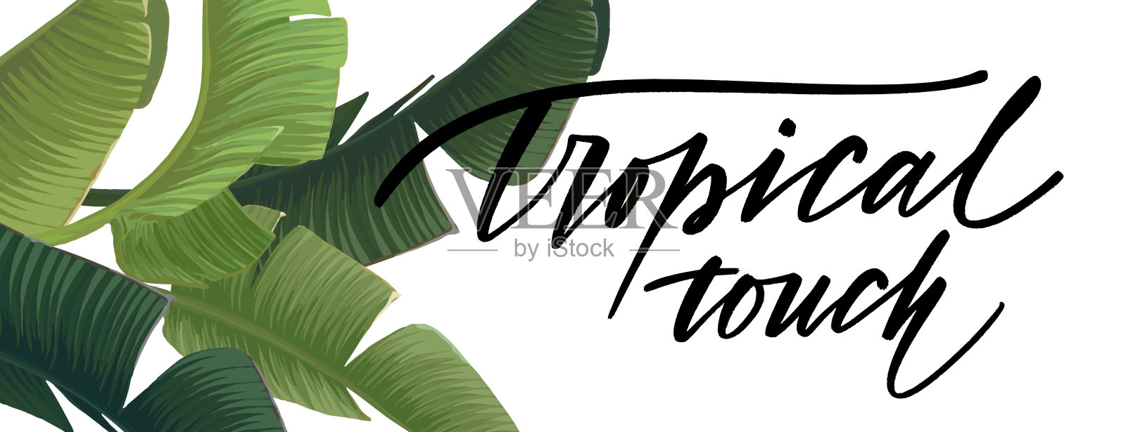 夏季热带设计与异国情调的棕榈叶和植物。丛林矢量花模板的传单或横幅。矢量插图。插画图片素材