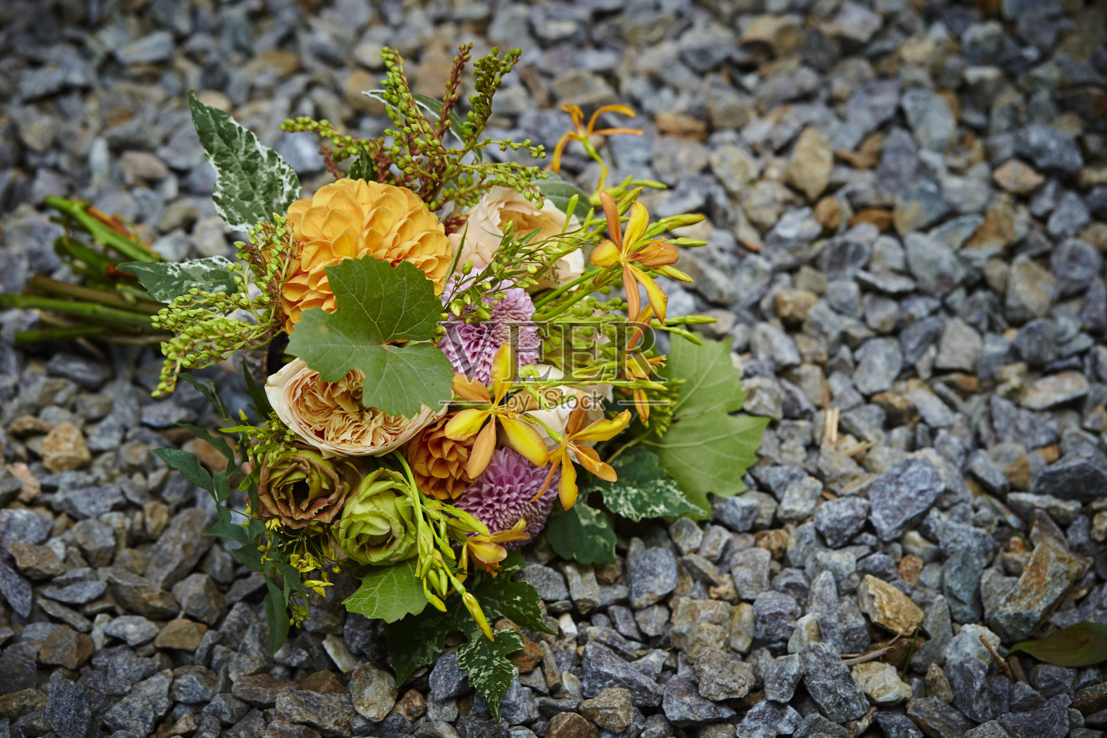 花朵的花束照片摄影图片