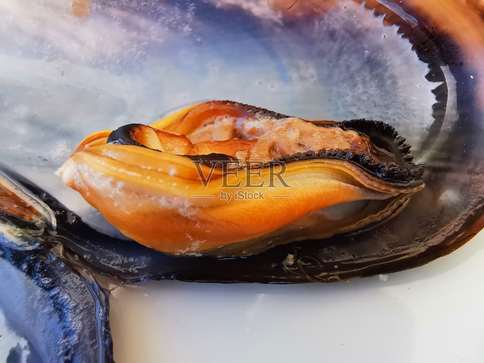 贻贝炊具照片摄影图片