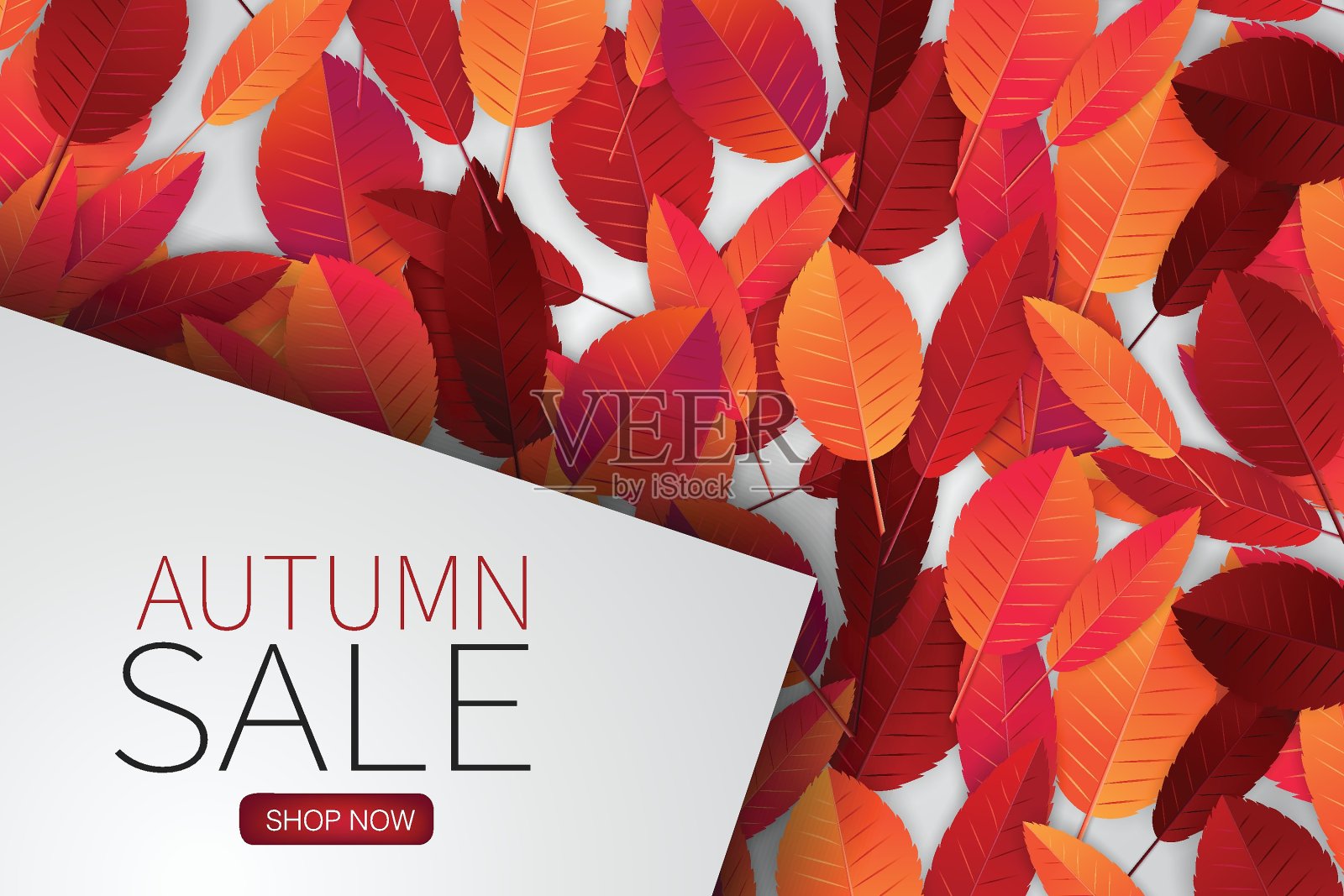秋叶背景墙纸。秋季概念与文字横幅在上面。销售设计模板。现实的矢量图。插画图片素材