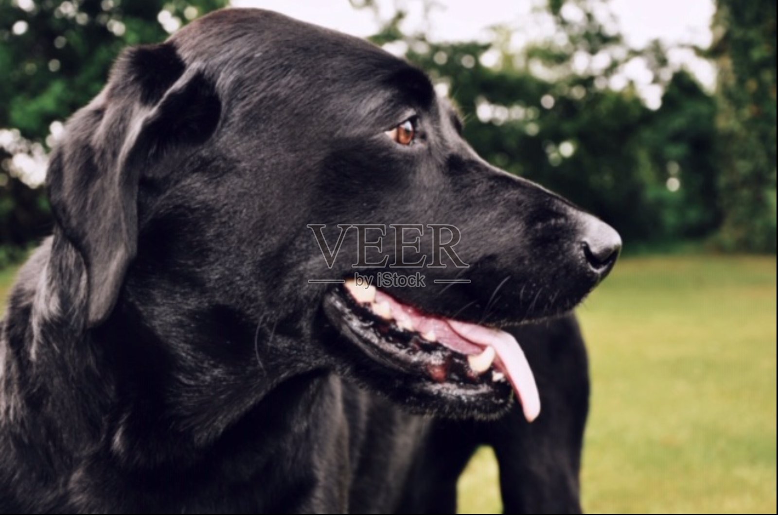 先生们照片摄影图片