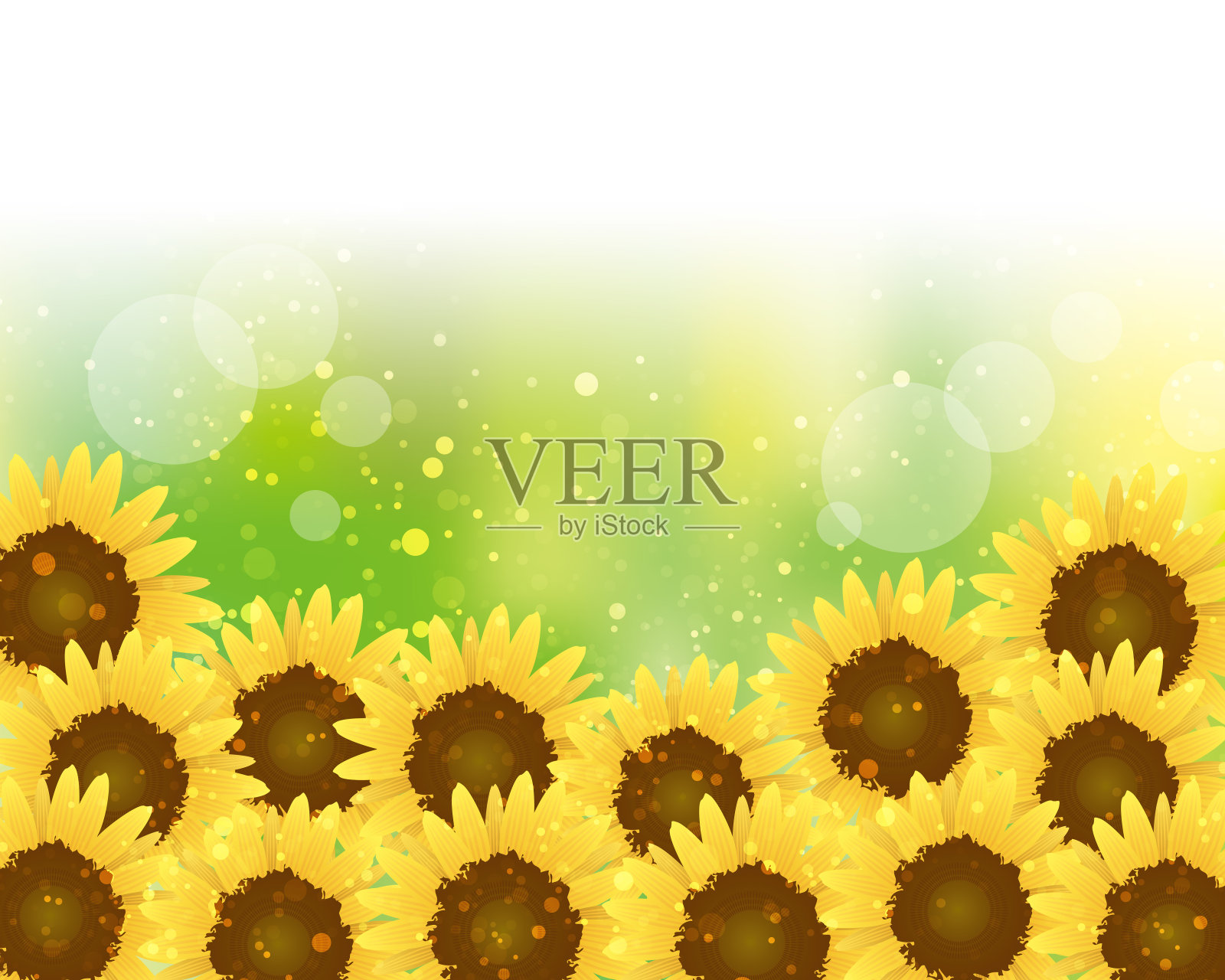 向日葵的背景插画图片素材