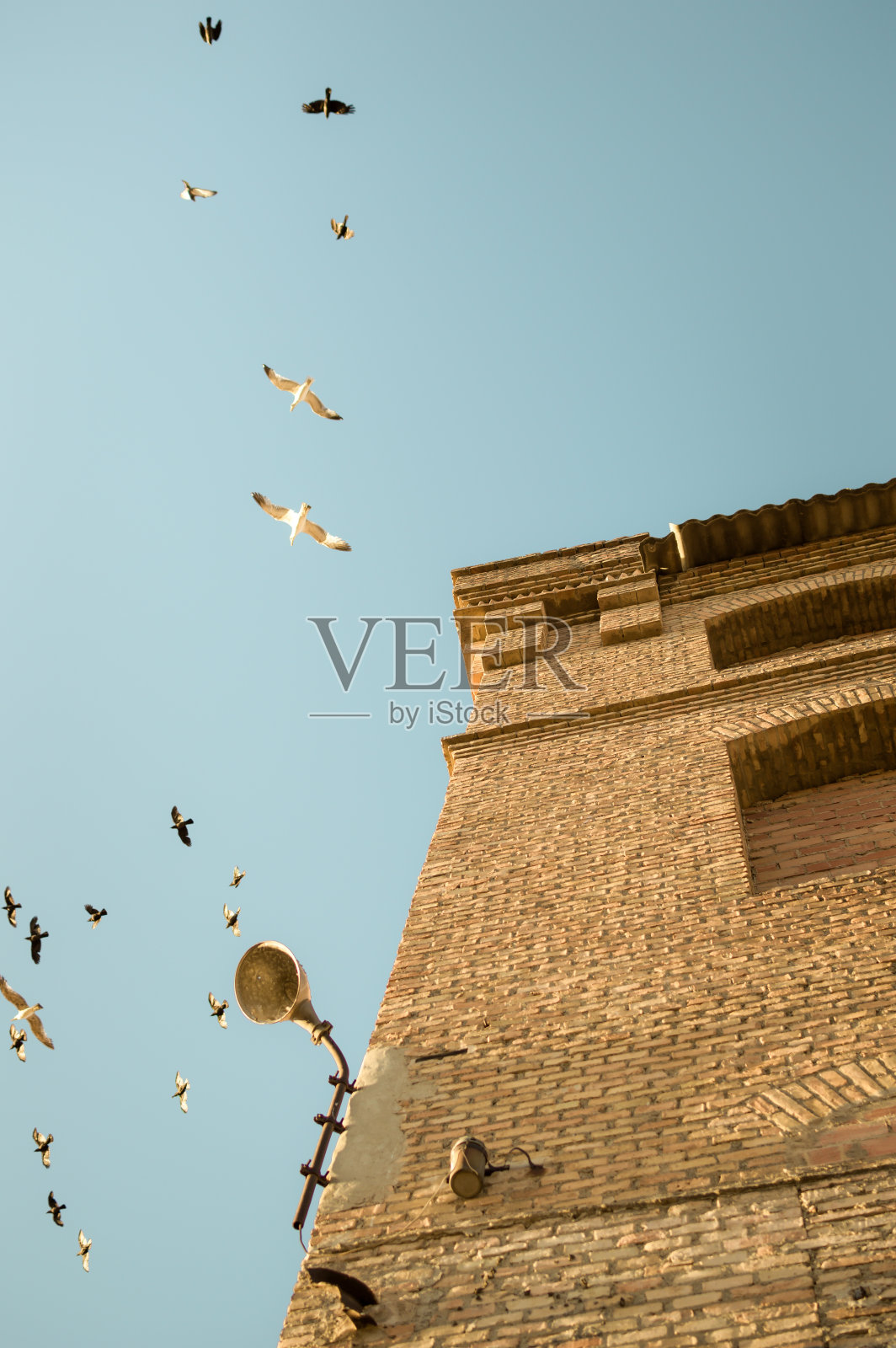 旧的被遗弃的封闭的监狱里住着鸟类和动物。背景带着自由的概念，天空中充满了乌鸦和海鸥。照片摄影图片