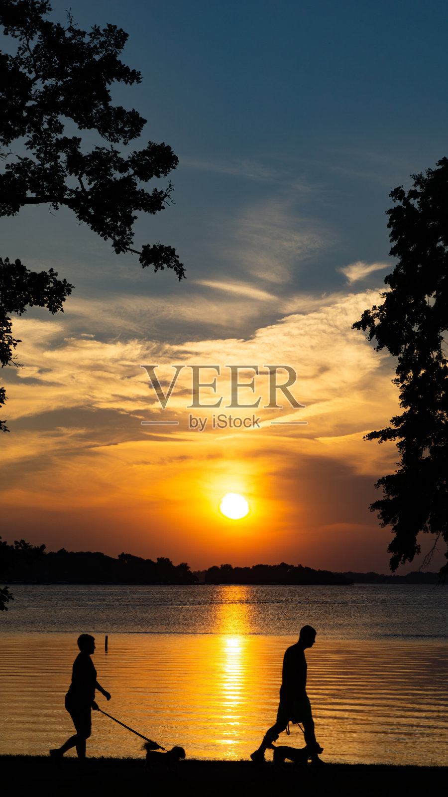 美丽的日落湖边一对夫妇散步他们的狗剪影照片摄影图片