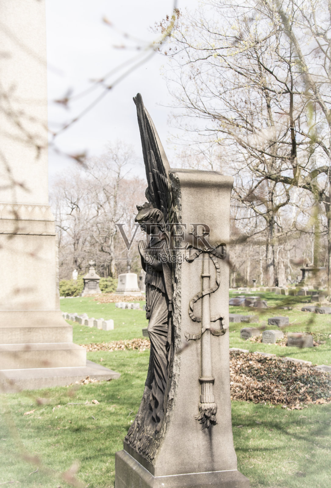 枯枝环绕的古老墓碑照片摄影图片