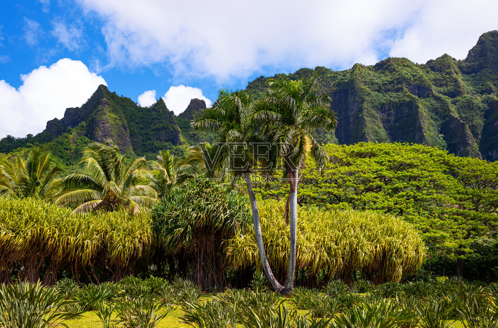 夏威夷，自然，历史和建筑照片摄影图片