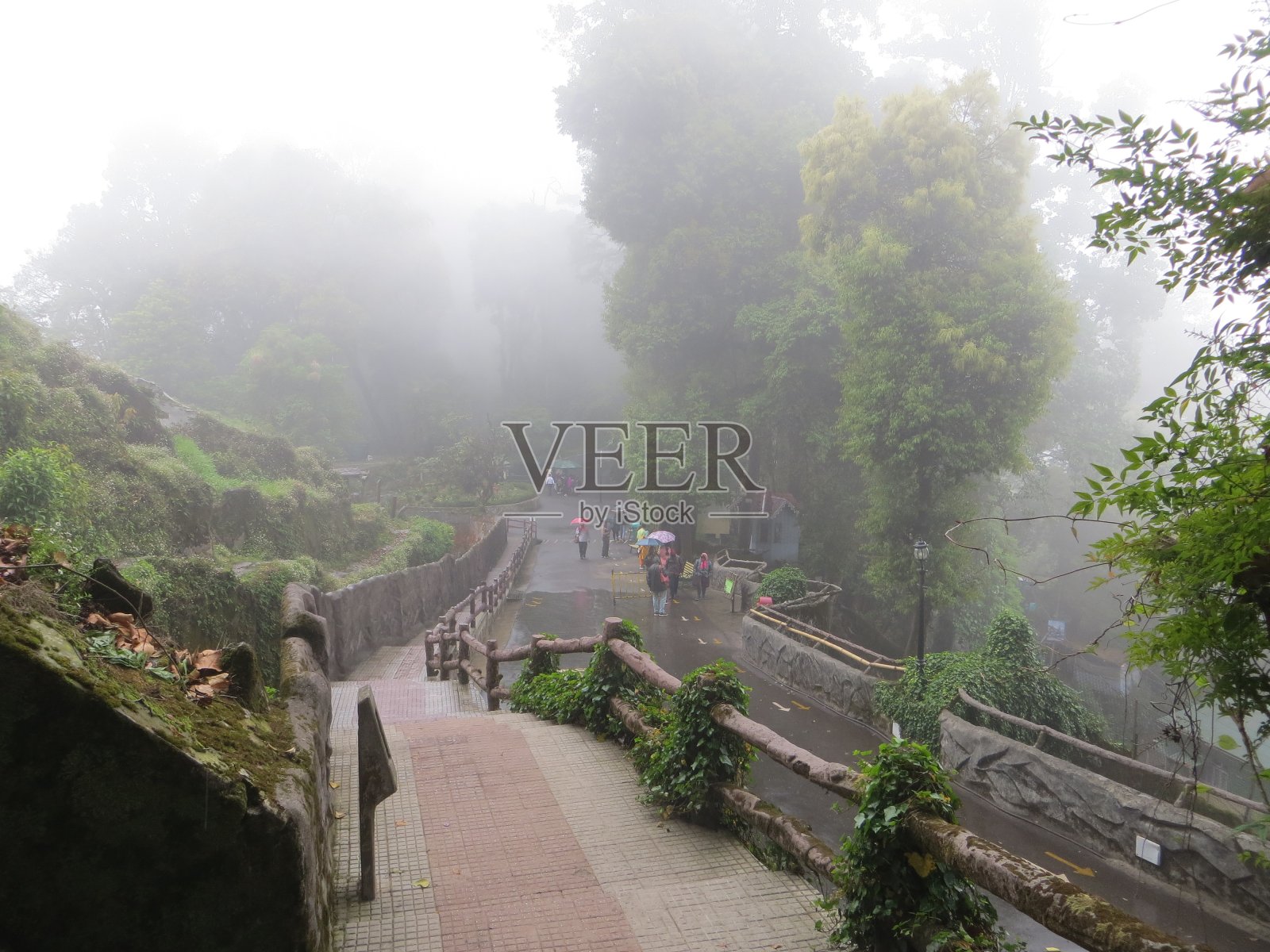 大吉岭四合扣照片摄影图片