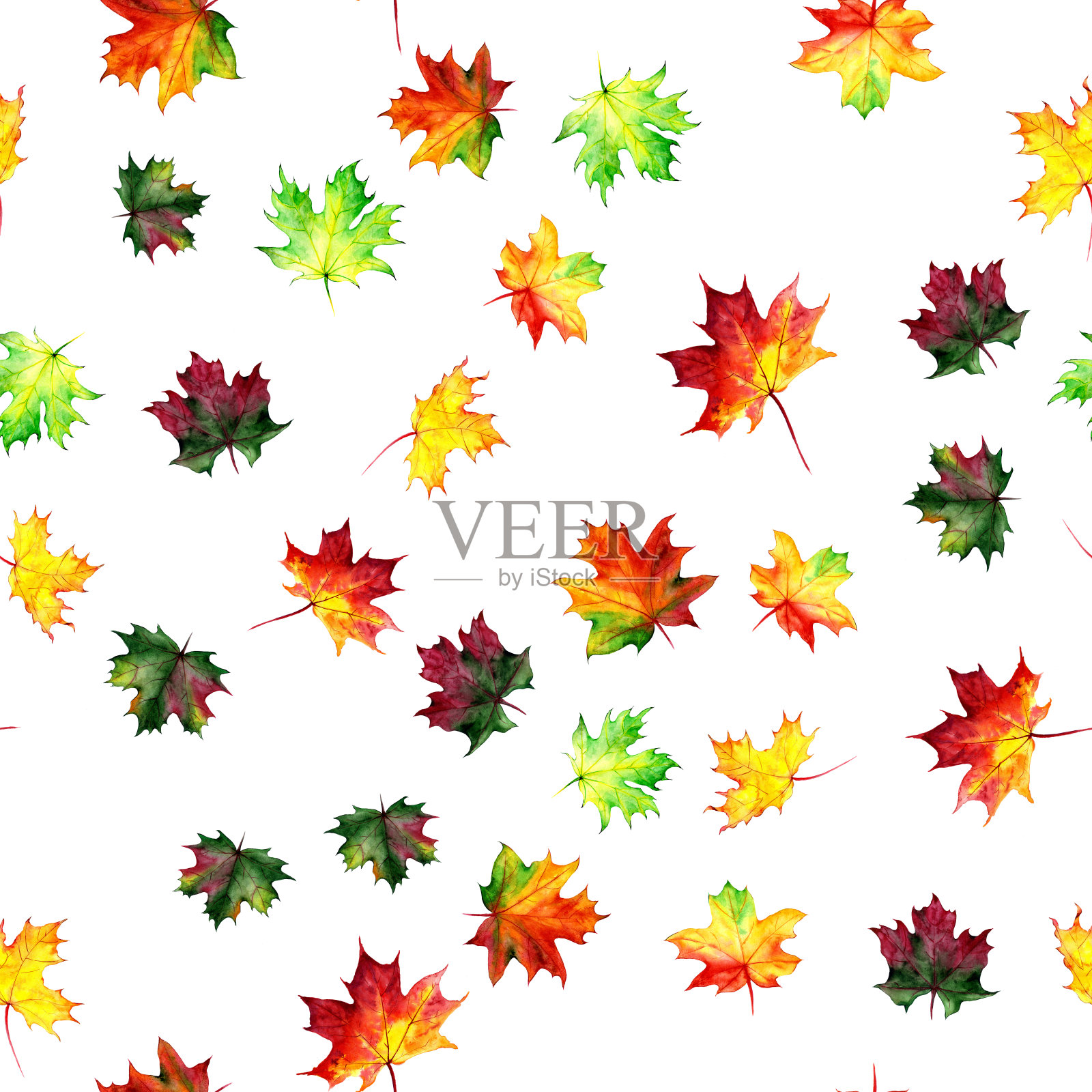 无缝图案与秋季枫叶。水彩设计的织物，包装，纸张。手绘。插画图片素材