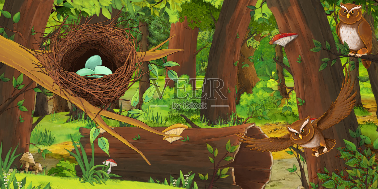 卡通夏季场景与深森林和鸟类猫头鹰和一些其他鸟类-没有人在现场插画图片素材