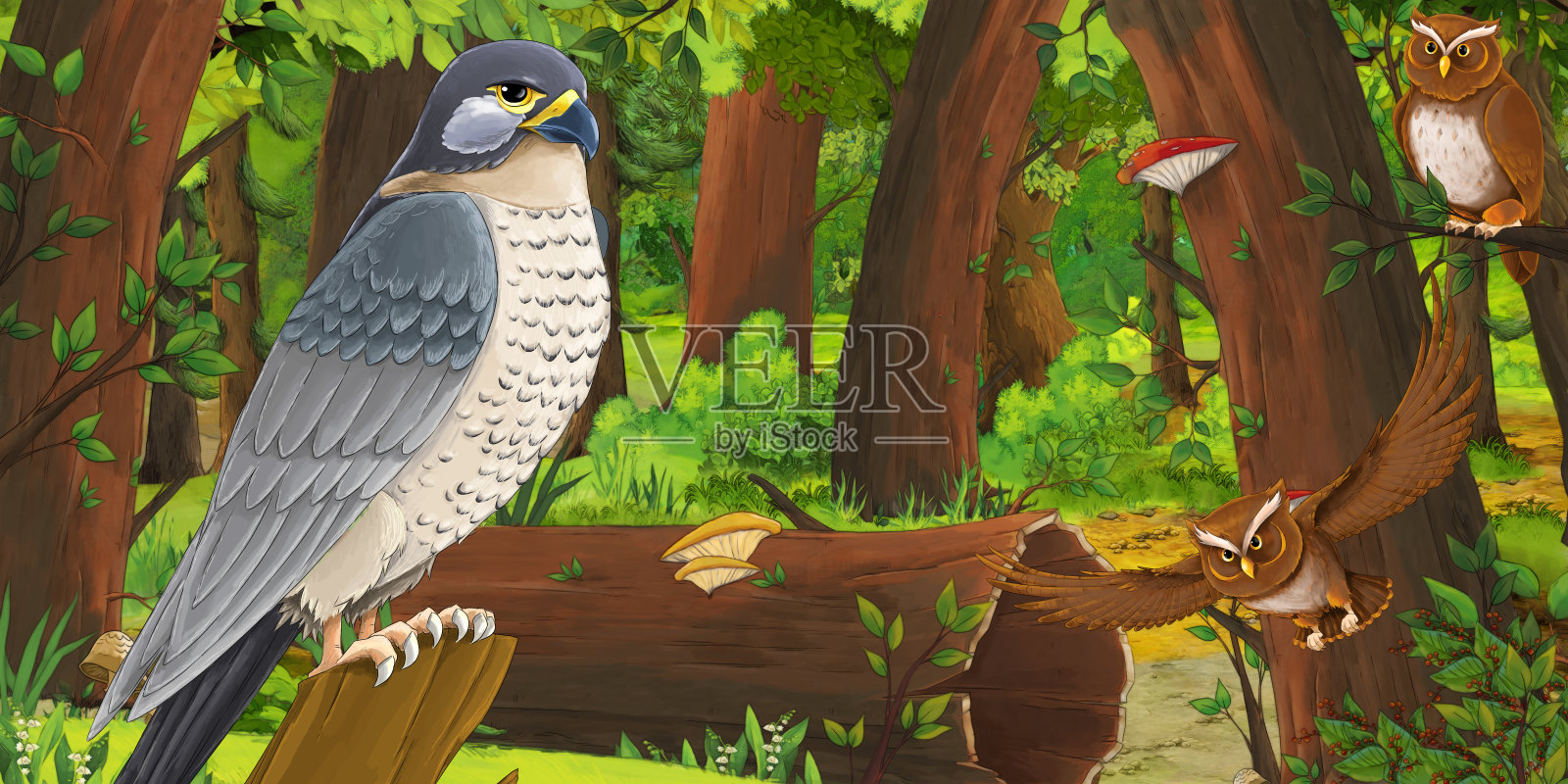 卡通夏季场景与深森林和鸟类猫头鹰和一些其他鸟类-没有人在现场插画图片素材