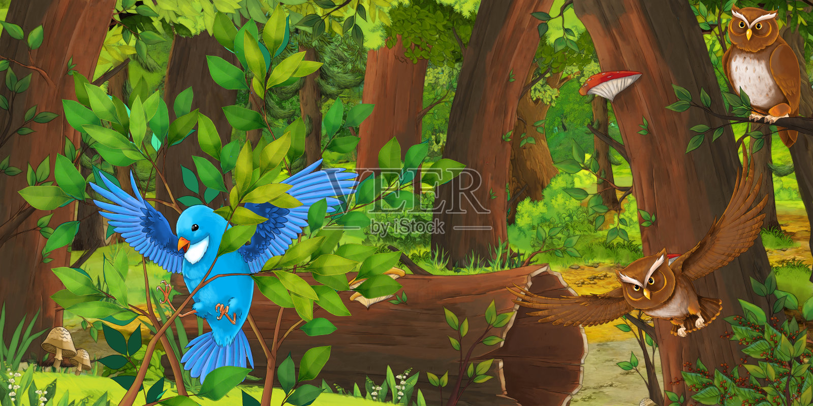 卡通夏季场景与深森林和鸟类猫头鹰和一些其他鸟类-没有人在现场插画图片素材