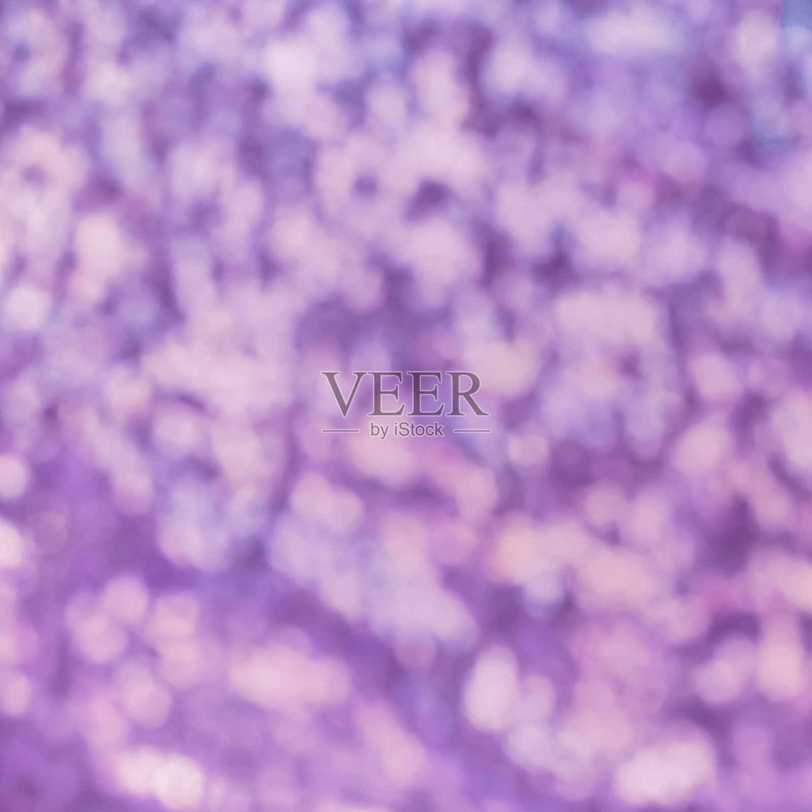 紫色模糊背景与散景斑点。节日的概念照片摄影图片