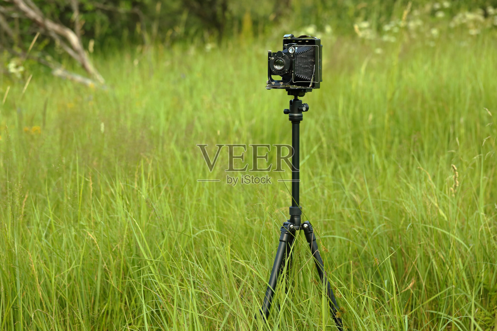 老式相机9x12在阳光下的草地上。使用玻璃板的老式摄影棚相机。照片摄影图片