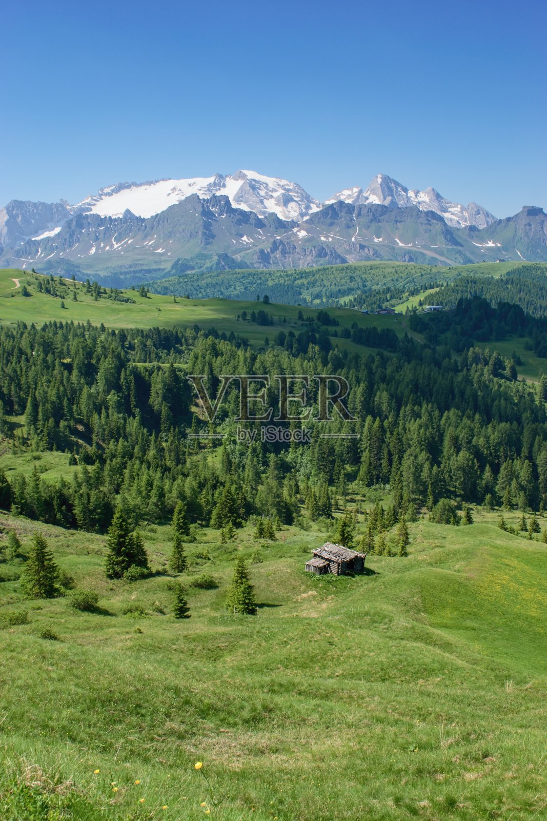 绿色牧场和地平线上的马尔莫拉达峰的多洛米蒂山脉美景照片摄影图片